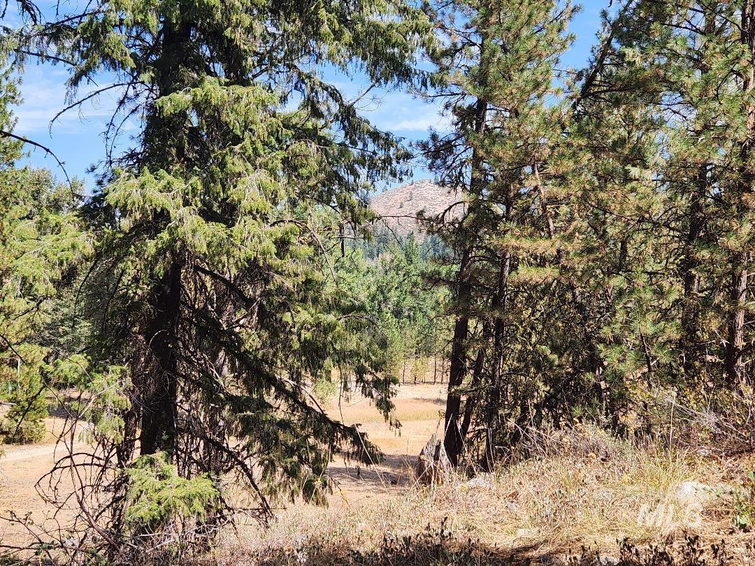 TBD N Diamond Bar Place, Featherville, Idaho 83647, Land For Sale, Price $250,000, 98959466