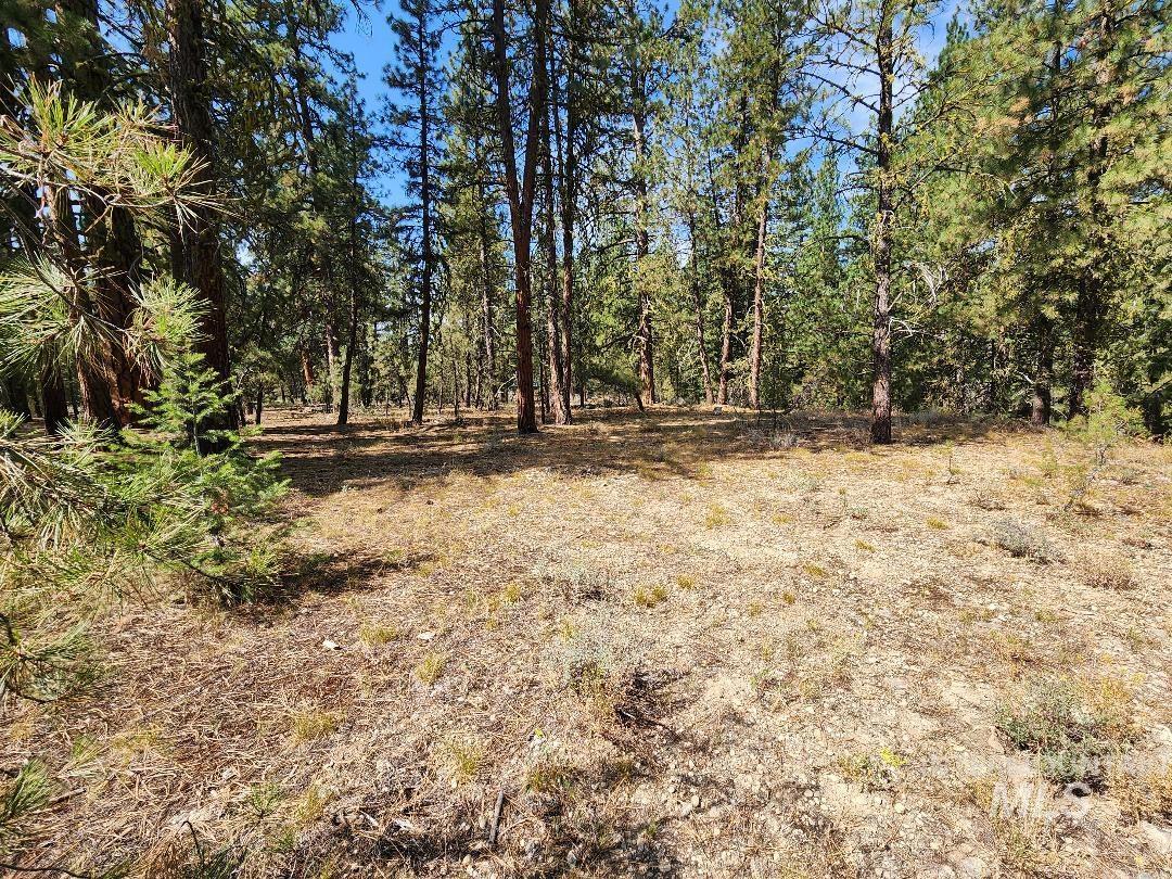 TBD N Diamond Bar Place, Featherville, Idaho 83647, Land For Sale, Price $250,000, 98959466