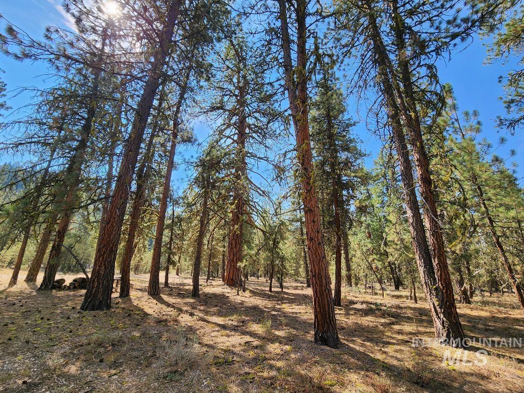 TBD N Diamond Bar Place, Featherville, Idaho 83647, Land For Sale, Price $250,000, 98959466