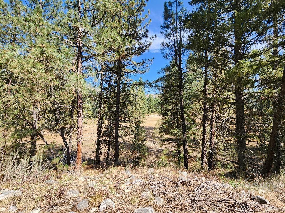 TBD N Diamond Bar Place, Featherville, Idaho 83647, Land For Sale, Price $250,000, 98959466