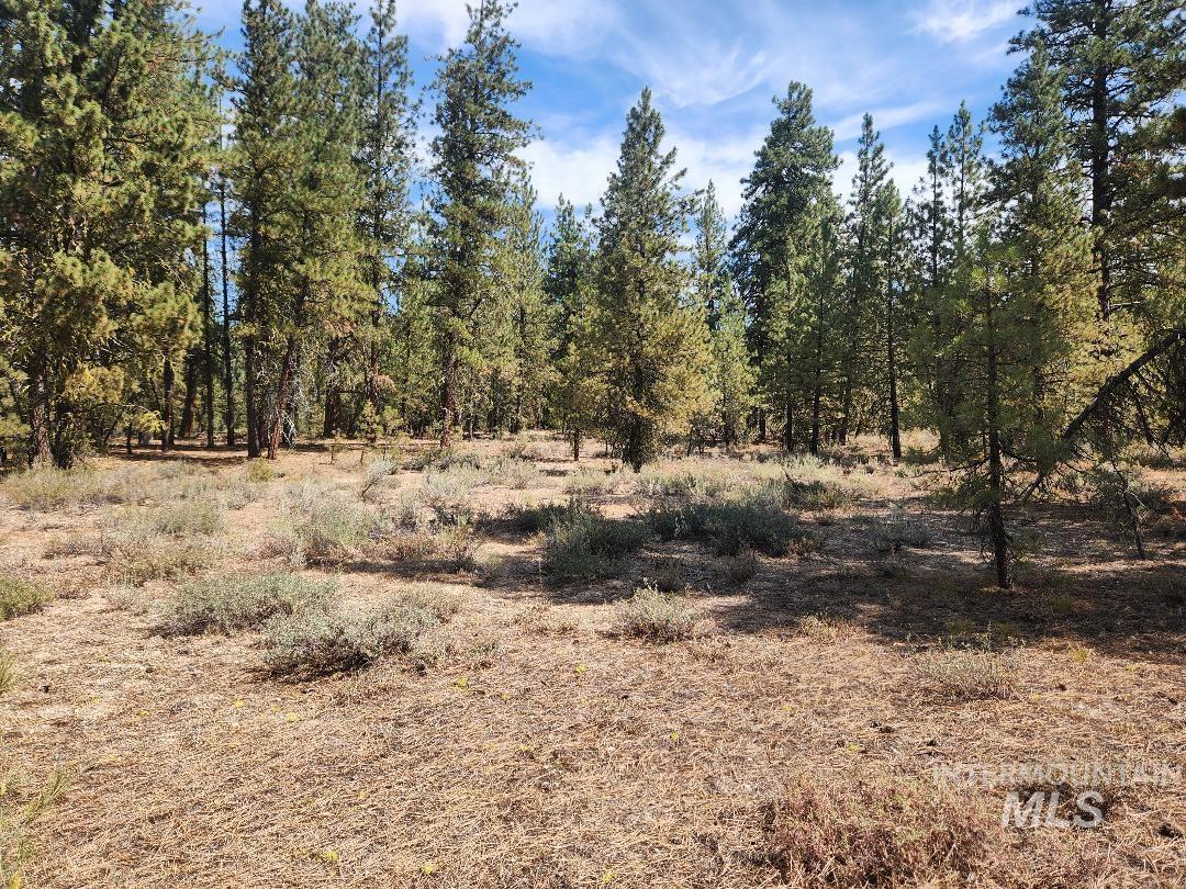 TBD N Diamond Bar Place, Featherville, Idaho 83647, Land For Sale, Price $250,000, 98959467