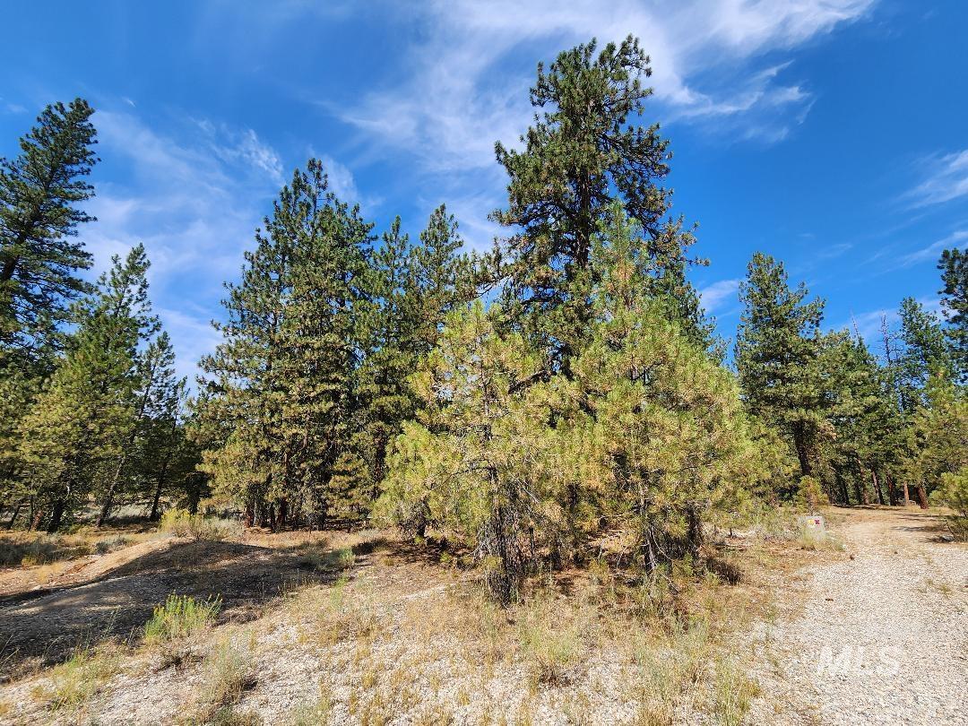 TBD N Diamond Bar Place, Featherville, Idaho 83647, Land For Sale, Price $250,000, 98959467