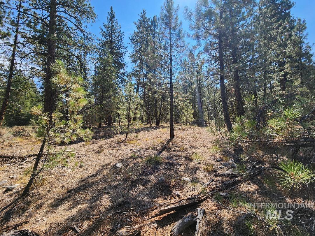 TBD N Diamond Bar Place, Featherville, Idaho 83647, Land For Sale, Price $250,000, 98959467