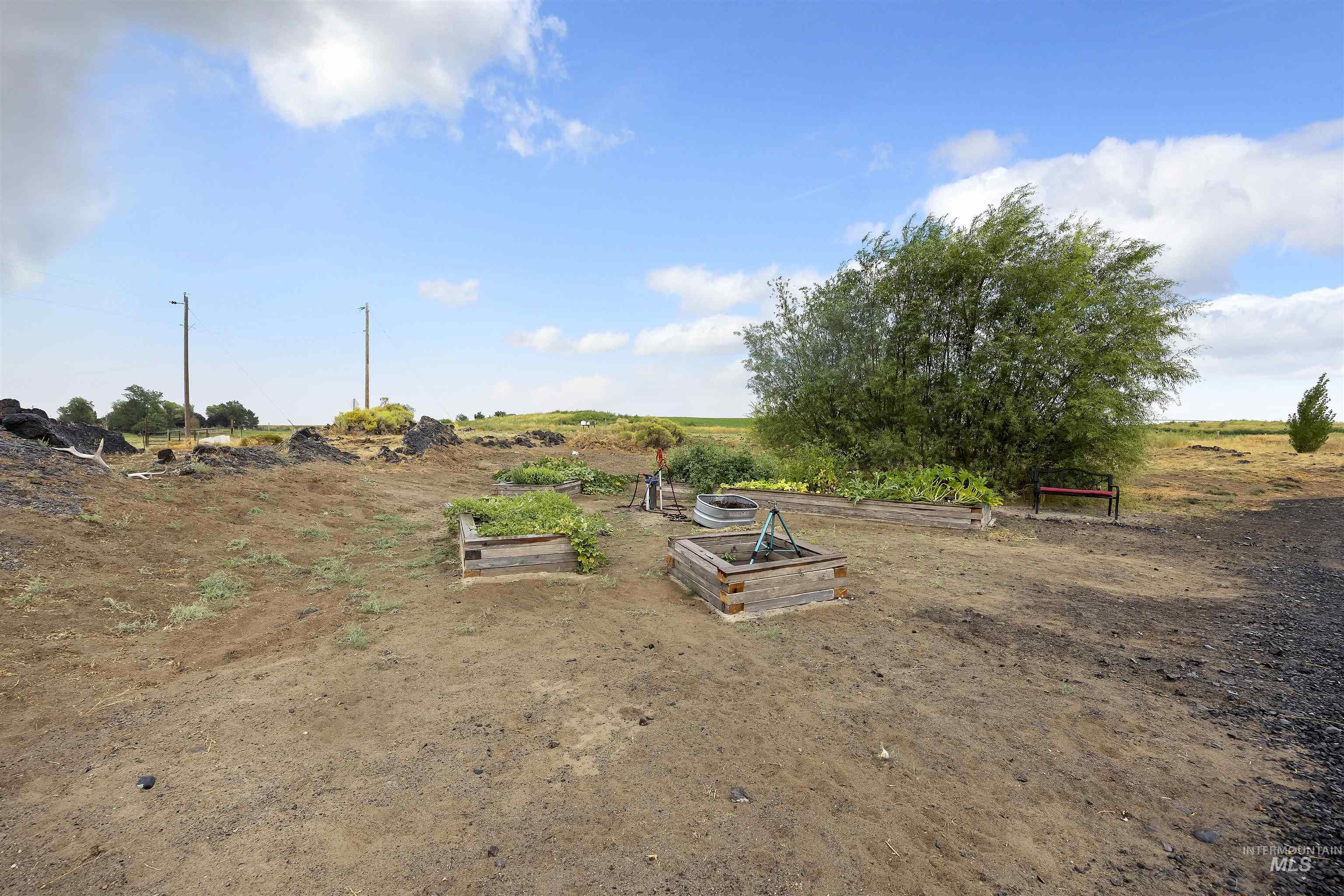 View of yard featuring a garden and a view of rural / pastoral area