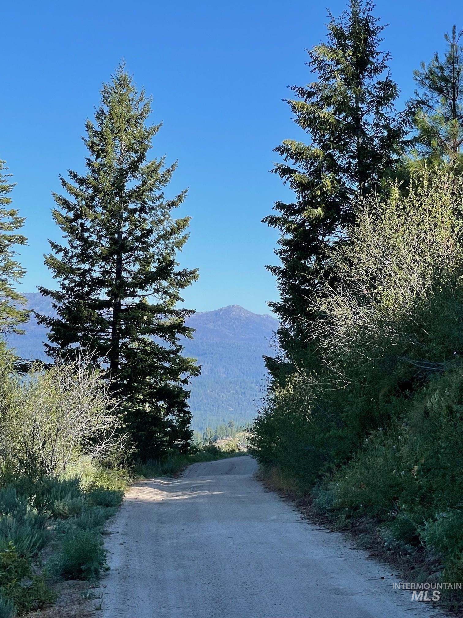 Mountain view with a forest