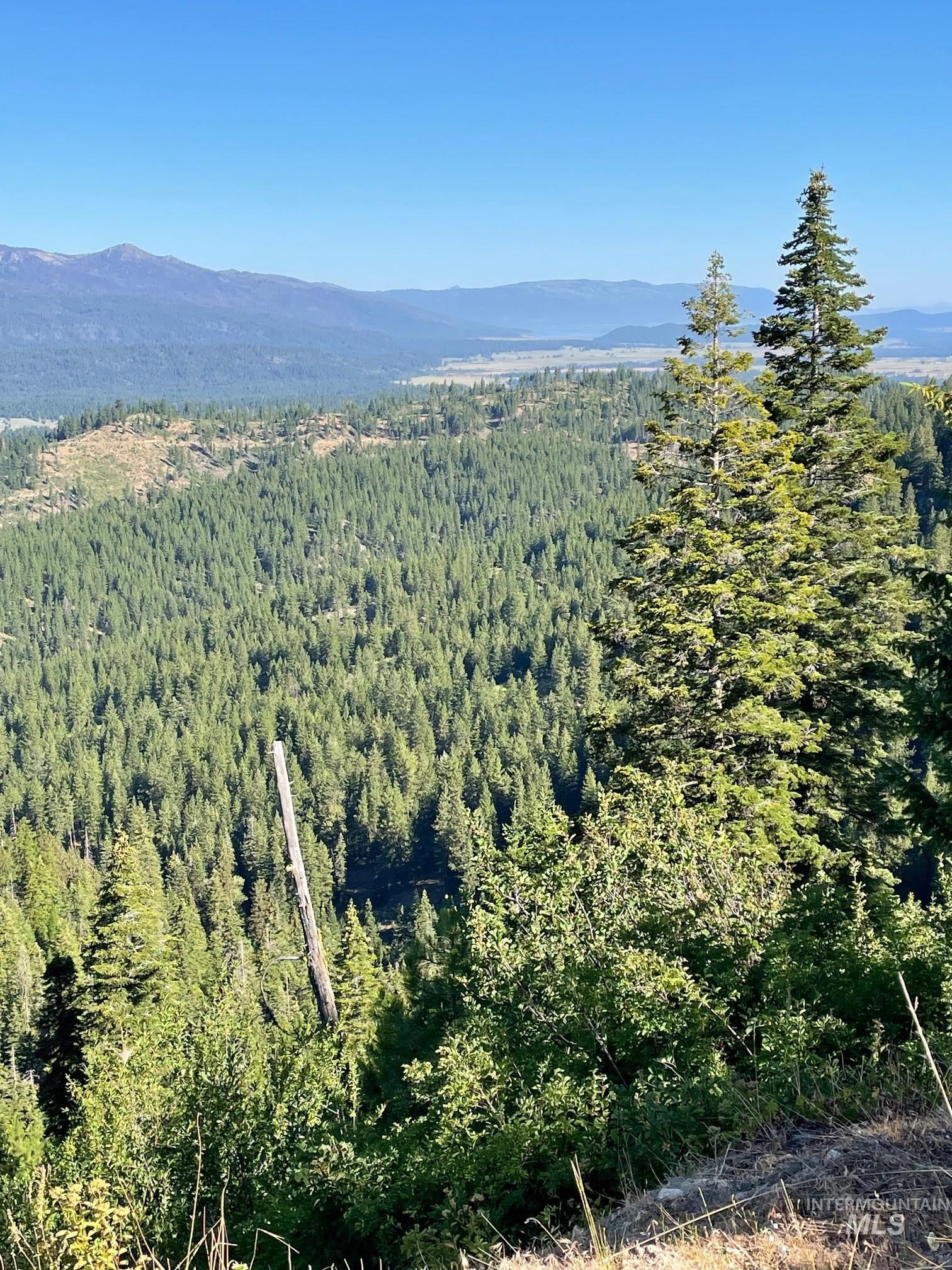 Mountain view featuring a heavily wooded area
