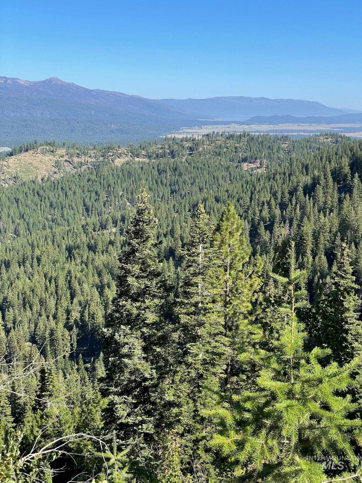 Mountain view featuring a forest