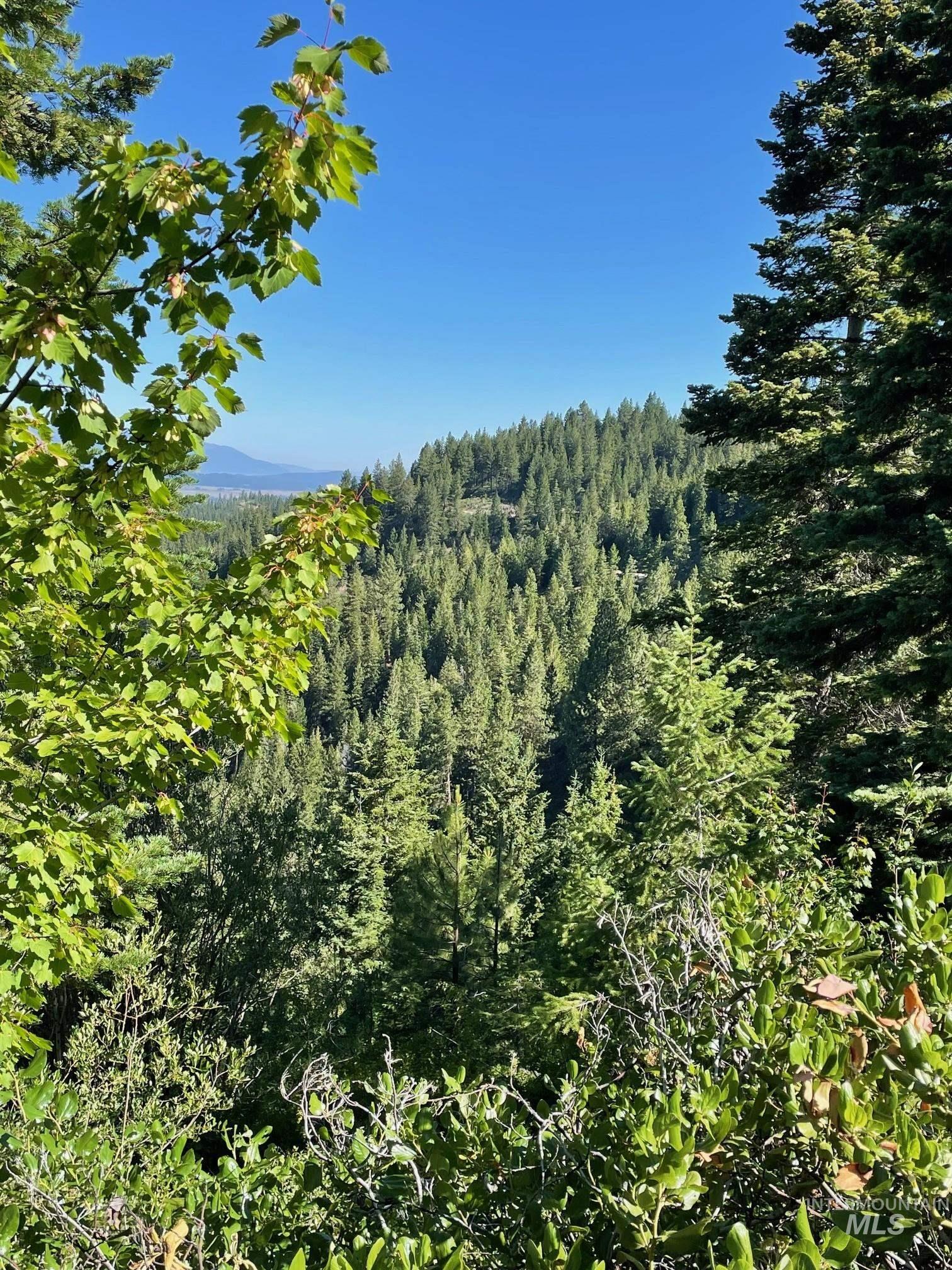 View of mountain backdrop with a heavily wooded area