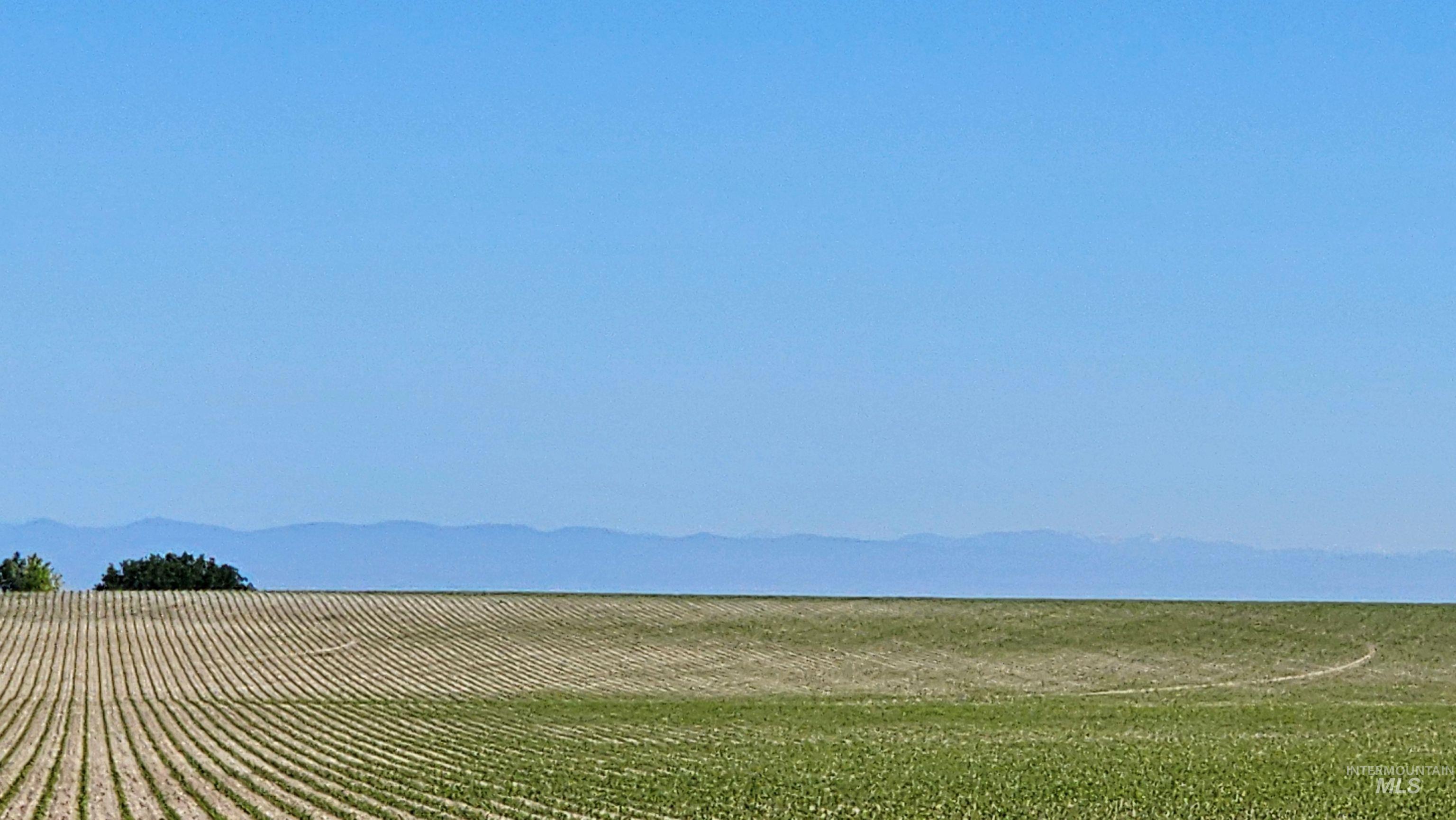 View of mountain background featuring rows of crops and rural landscape