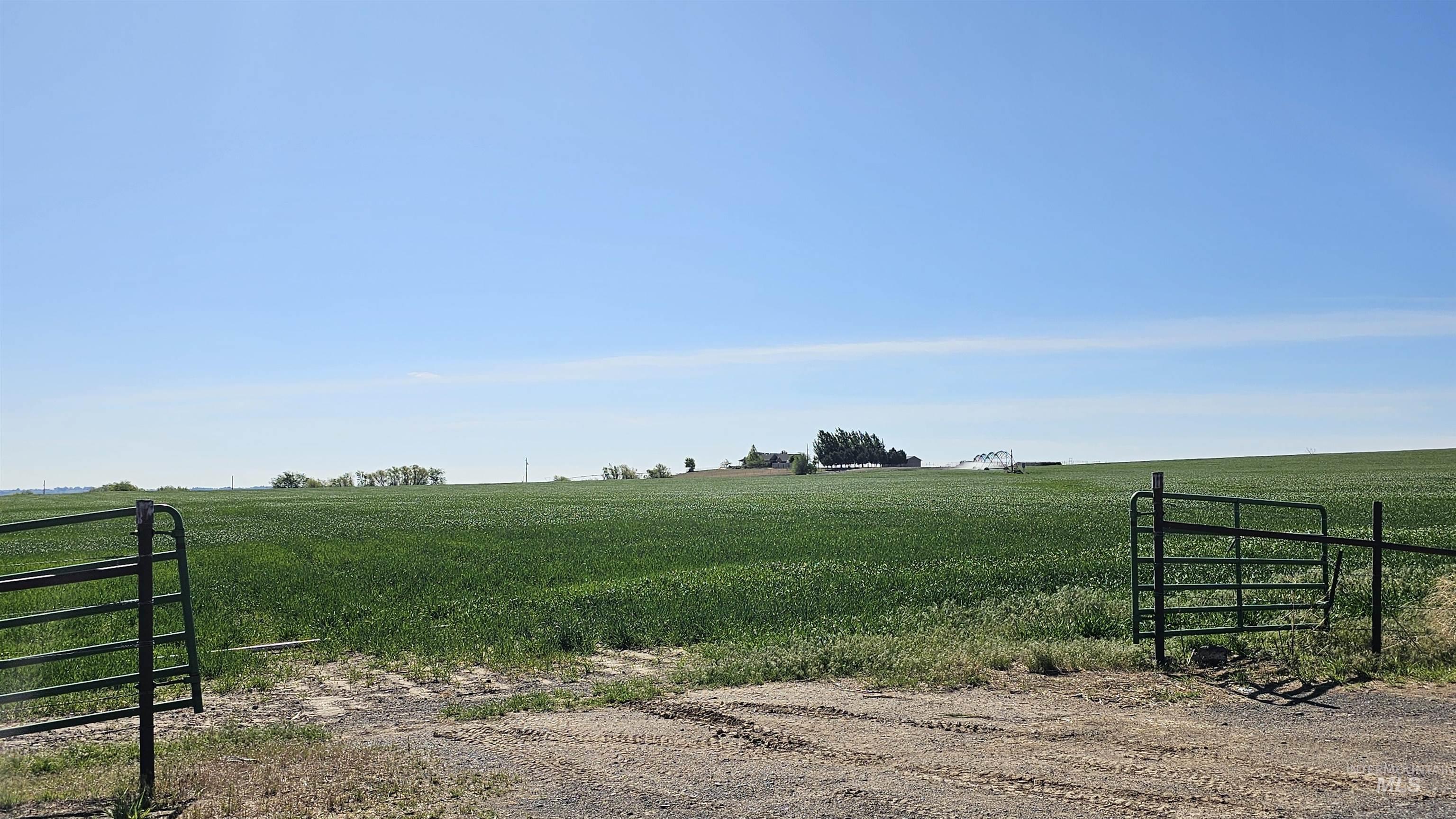 View of yard featuring a gate and a view of rural / pastoral area