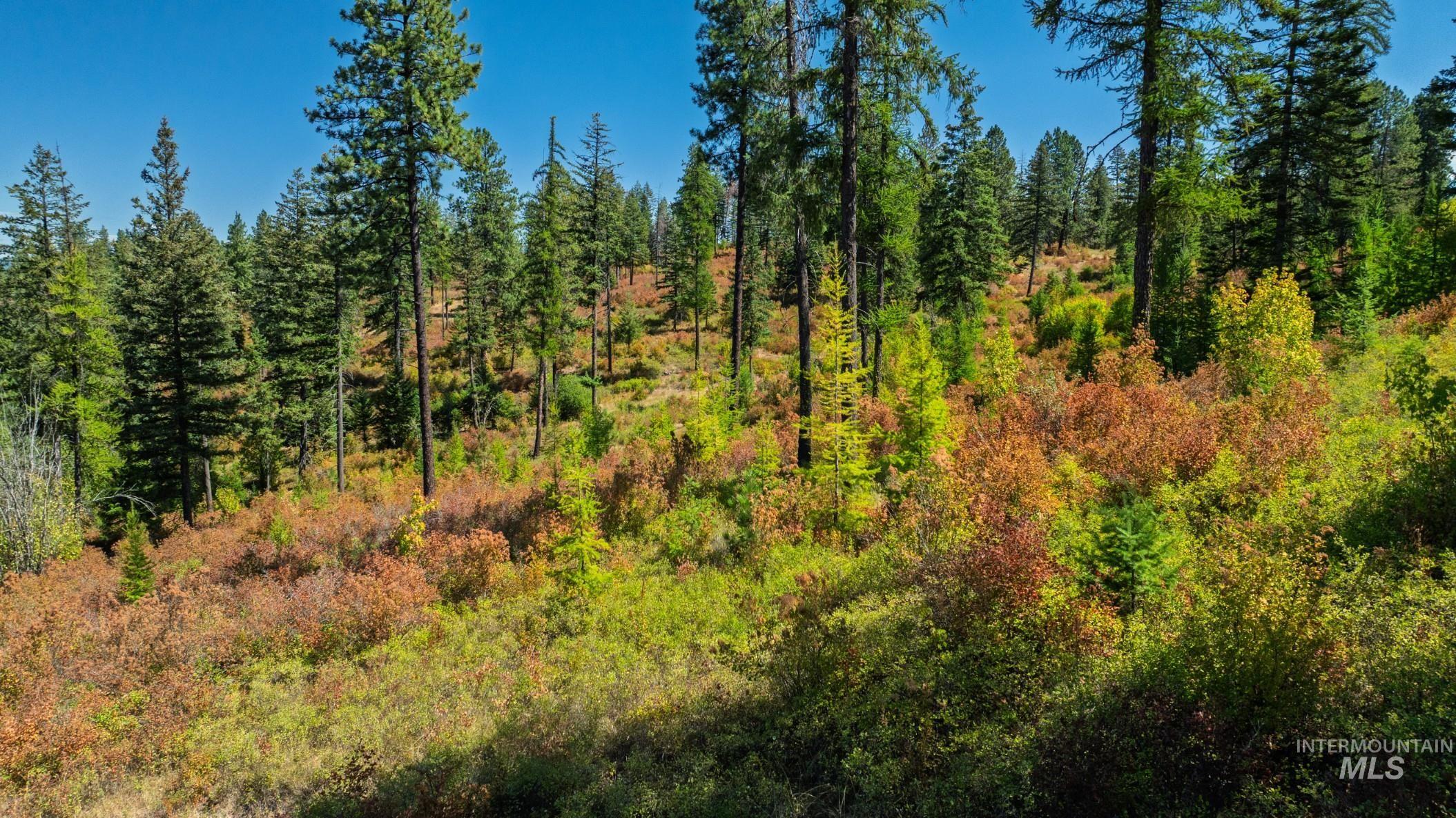 NKA O'Reilly Road, Princeton, Idaho 83857, Land For Sale, Price $495,000, 98959584