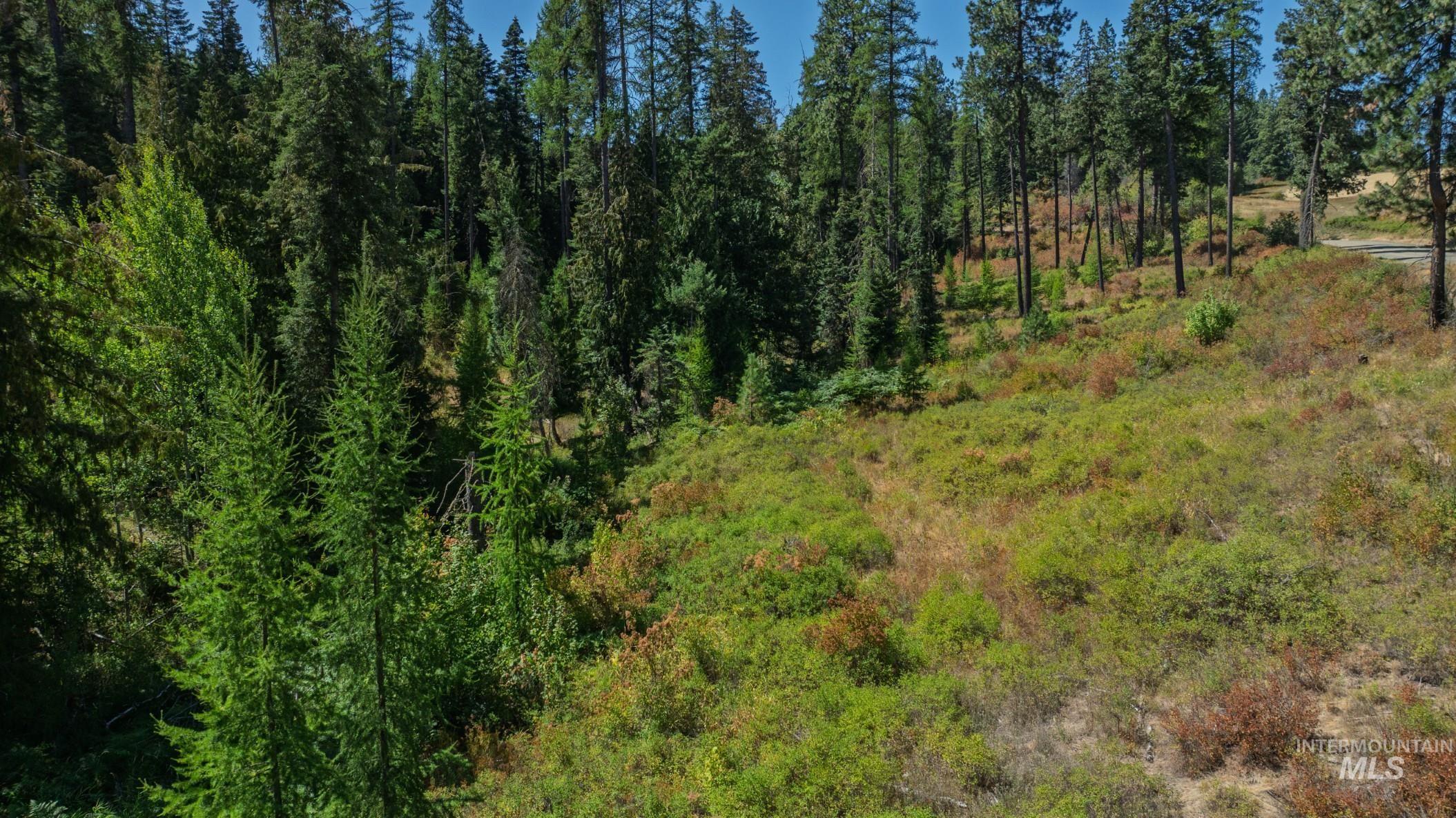 NKA O'Reilly Road, Princeton, Idaho 83857, Land For Sale, Price $495,000, 98959584