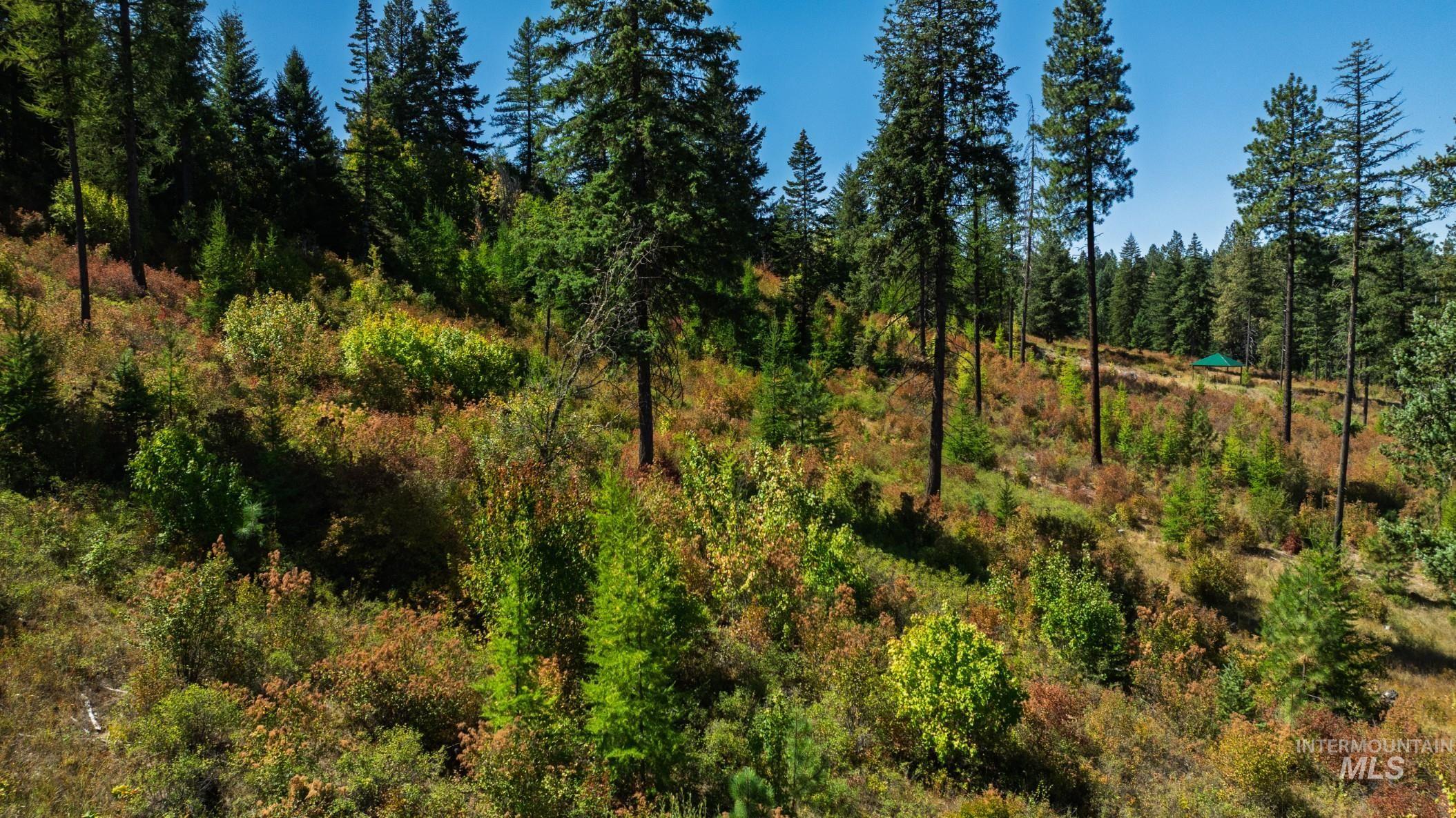 NKA O'Reilly Road, Princeton, Idaho 83857, Land For Sale, Price $495,000, 98959584