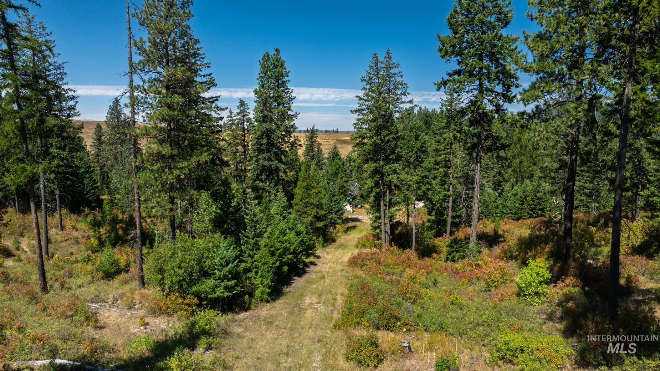 NKA O'Reilly Road, Princeton, Idaho 83857, Land For Sale, Price $495,000, 98959584