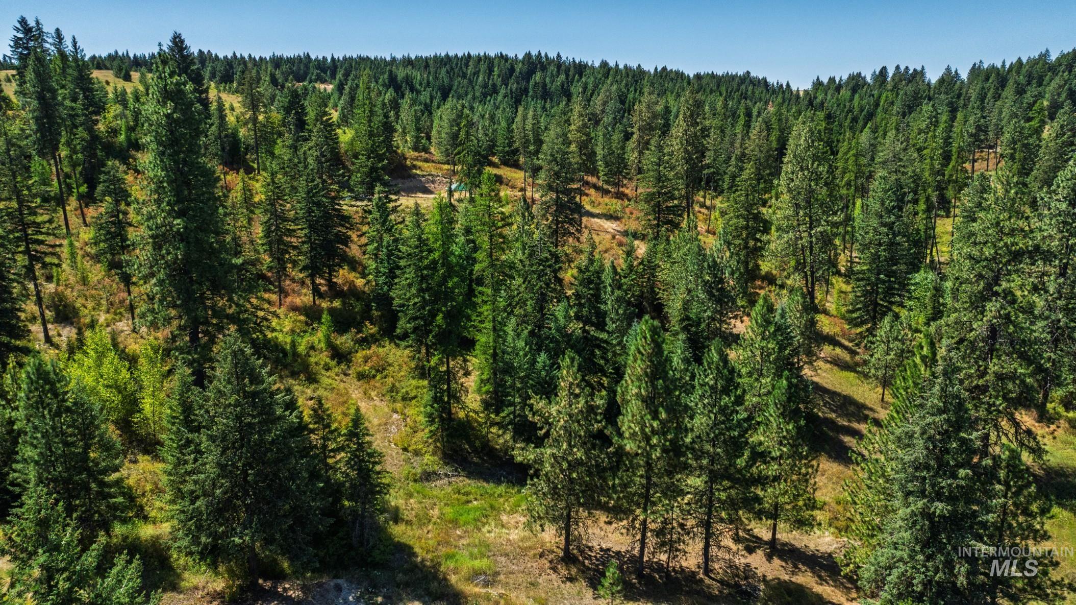 NKA O'Reilly Road, Princeton, Idaho 83857, Land For Sale, Price $495,000, 98959584