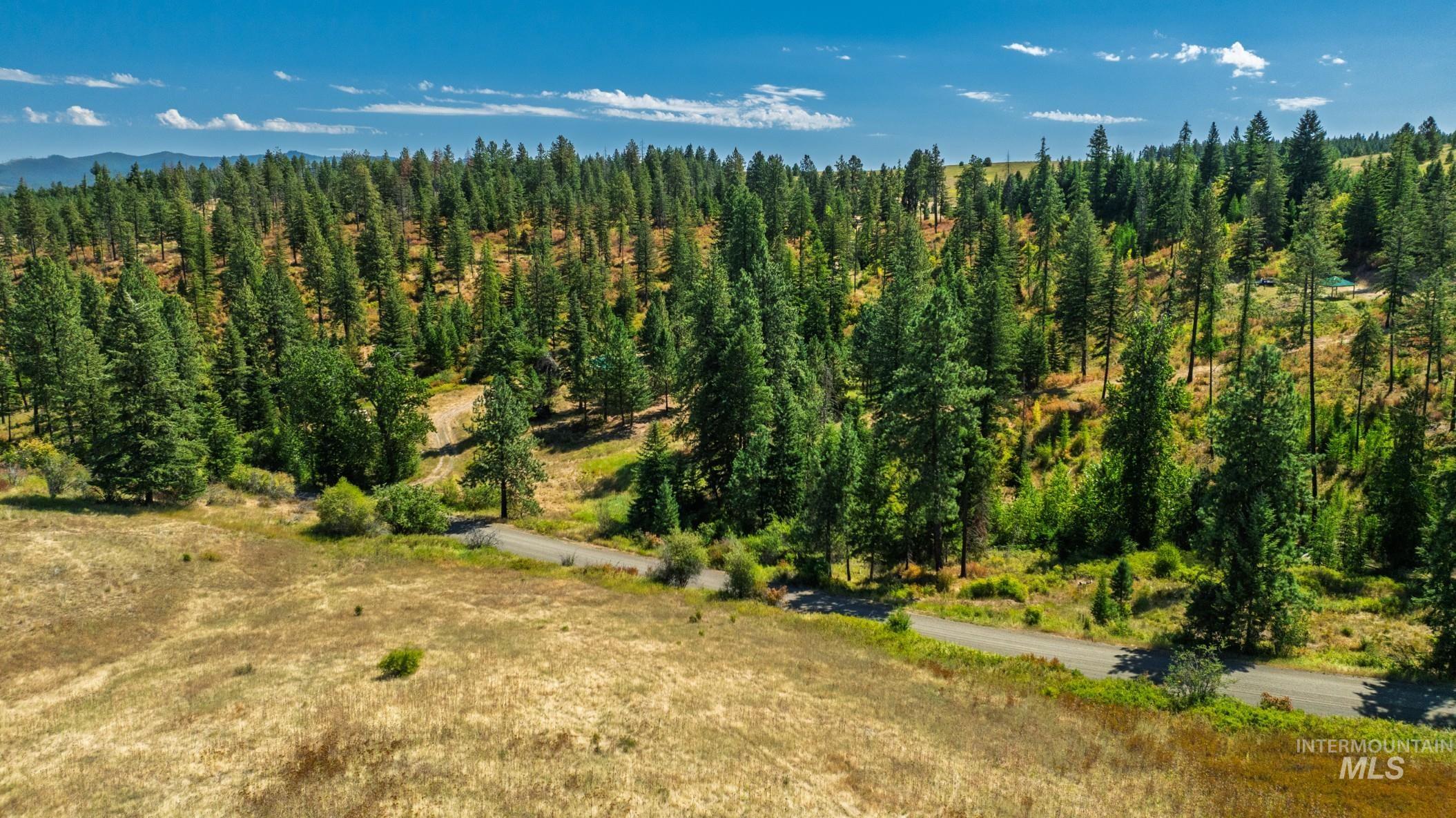 NKA O'Reilly Road, Princeton, Idaho 83857, Land For Sale, Price $495,000, 98959584
