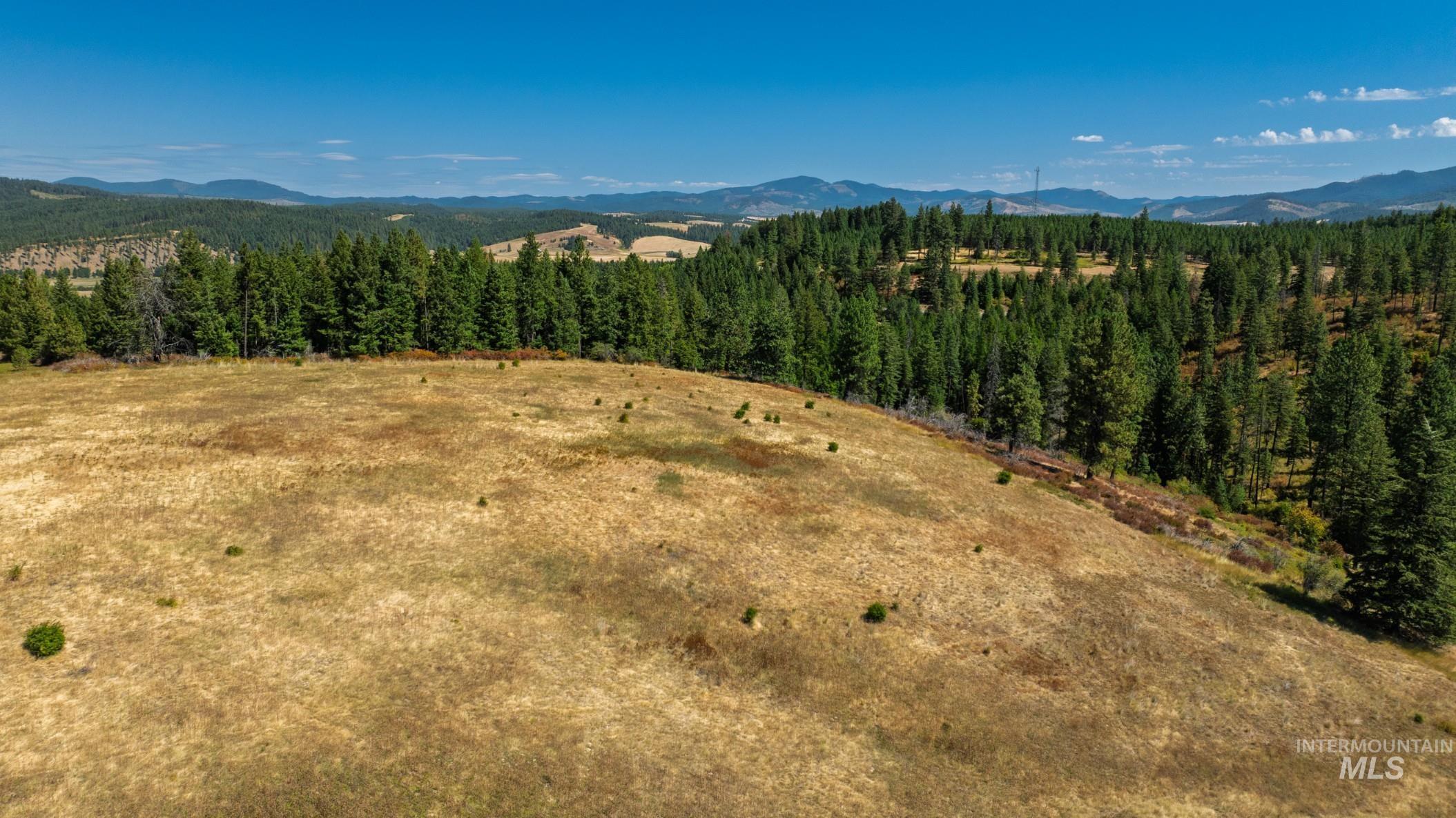 NKA O'Reilly Road, Princeton, Idaho 83857, Land For Sale, Price $495,000, 98959584
