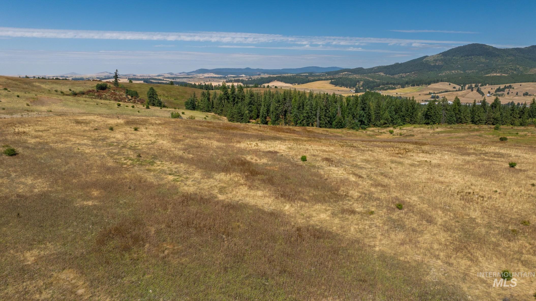 NKA O'Reilly Road, Princeton, Idaho 83857, Land For Sale, Price $495,000, 98959584