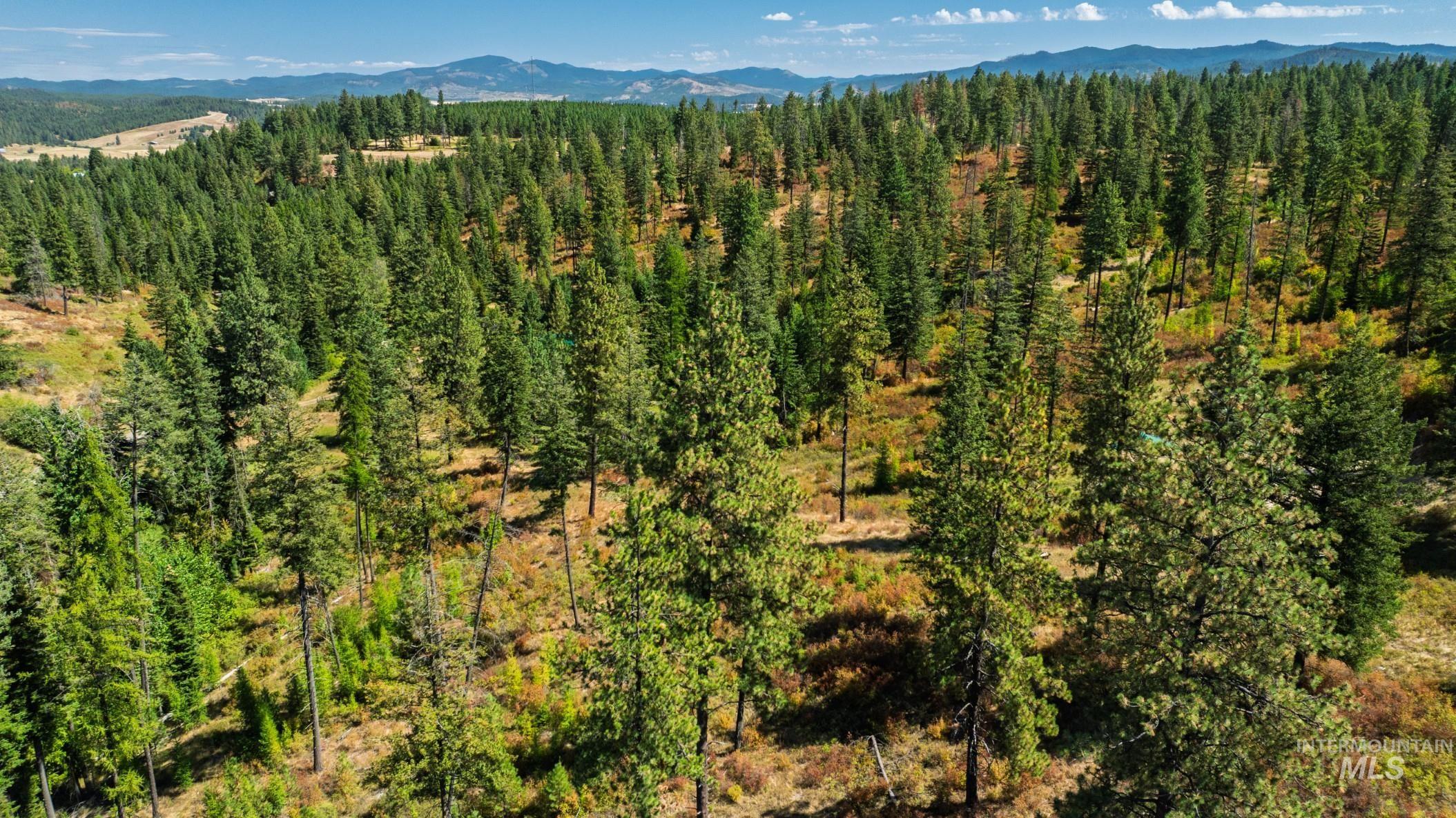 NKA O'Reilly Road, Princeton, Idaho 83857, Land For Sale, Price $495,000, 98959584