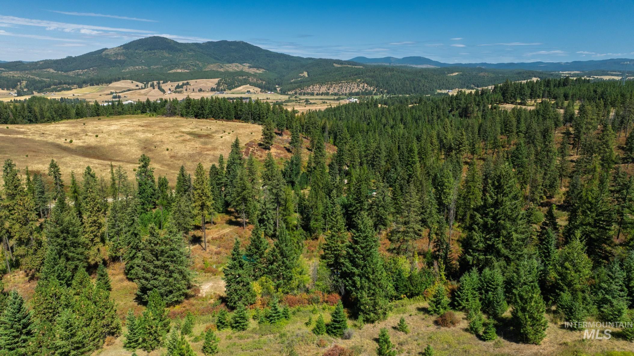NKA O'Reilly Road, Princeton, Idaho 83857, Land For Sale, Price $495,000, 98959584