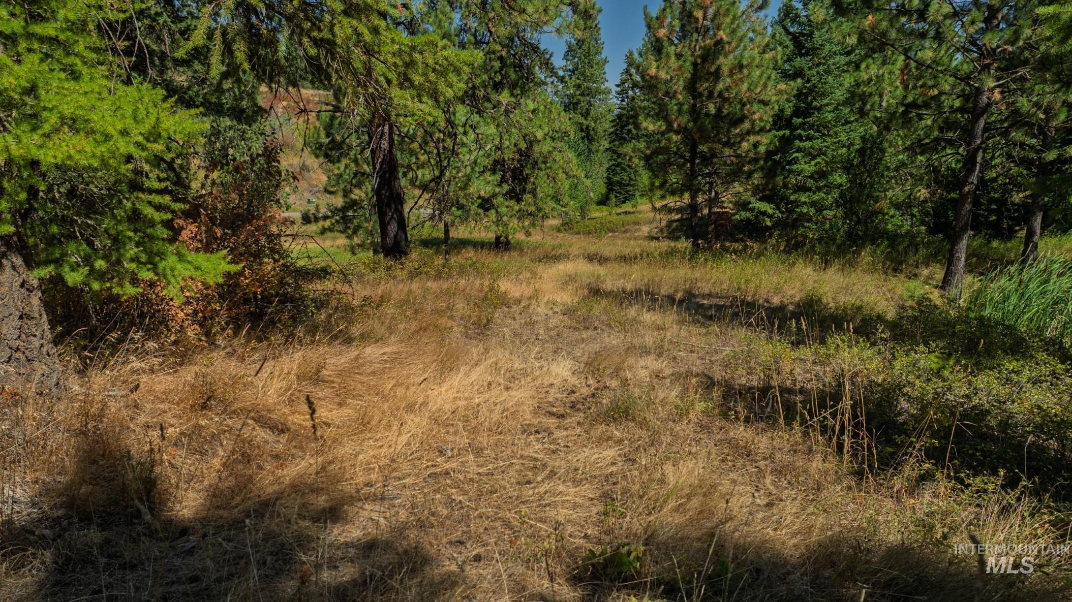 NKA O'Reilly Road, Princeton, Idaho 83857, Land For Sale, Price $495,000, 98959584