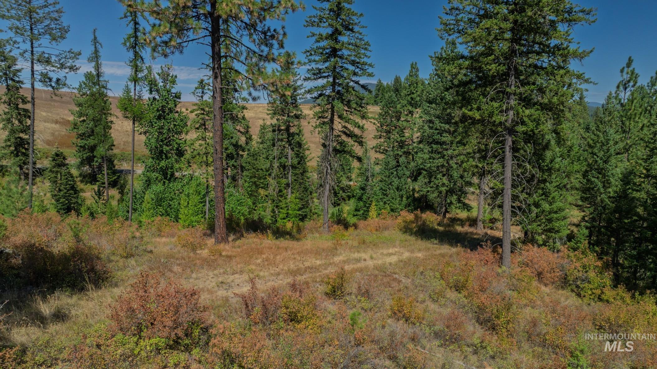 NKA O'Reilly Road, Princeton, Idaho 83857, Land For Sale, Price $495,000, 98959584