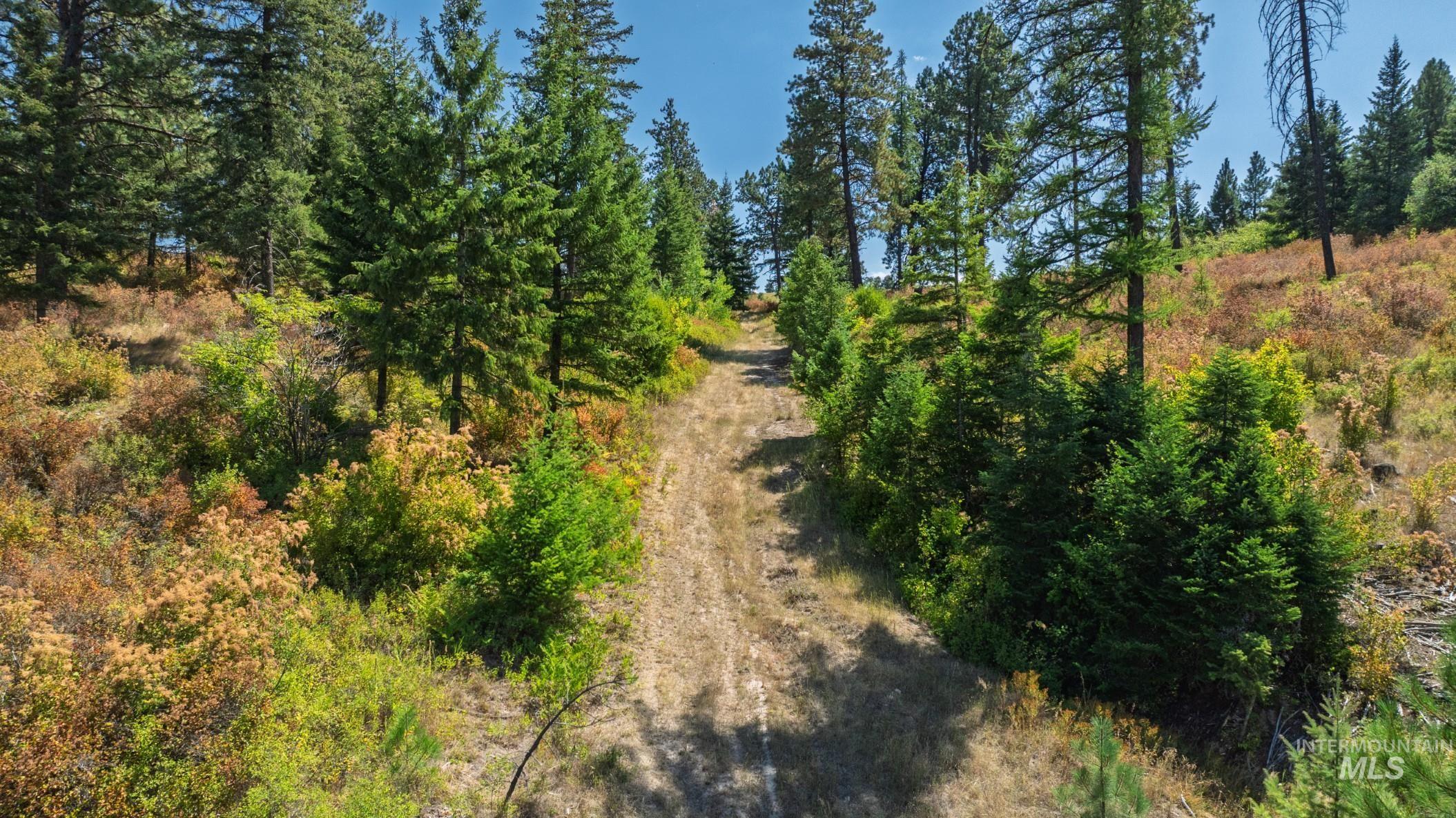 NKA O'Reilly Road, Princeton, Idaho 83857, Land For Sale, Price $495,000, 98959584
