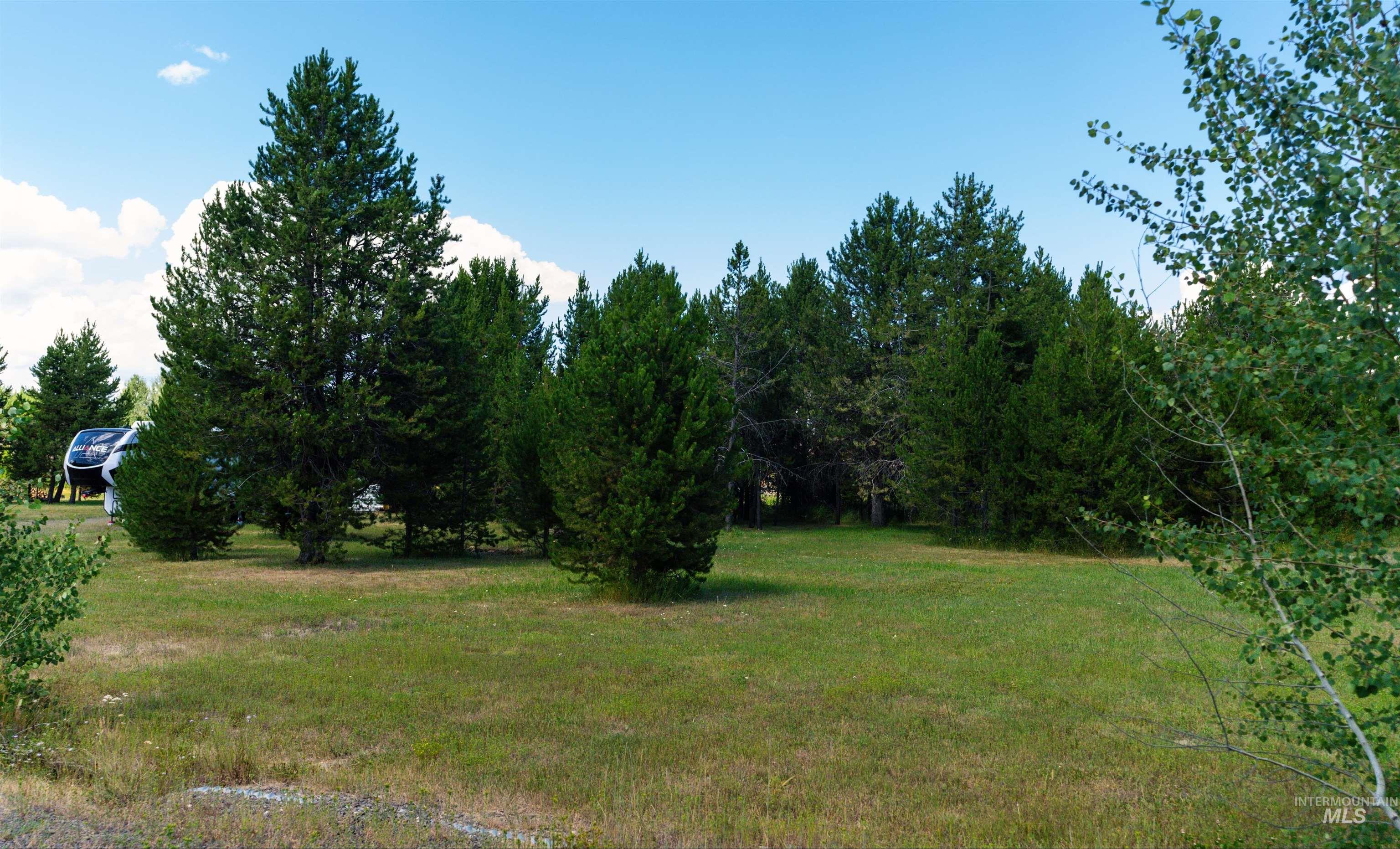 View of grassy yard