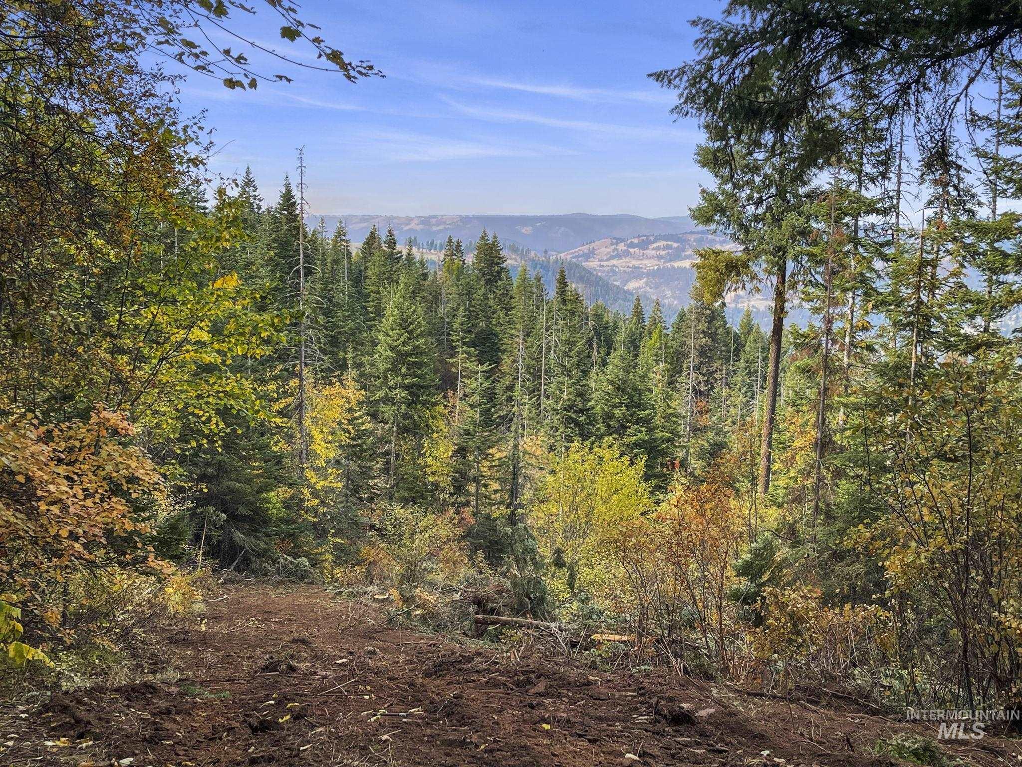TBD Mountain Top Drive, Orofino, Idaho 83544, Land For Sale, Price $625,000, 98959639