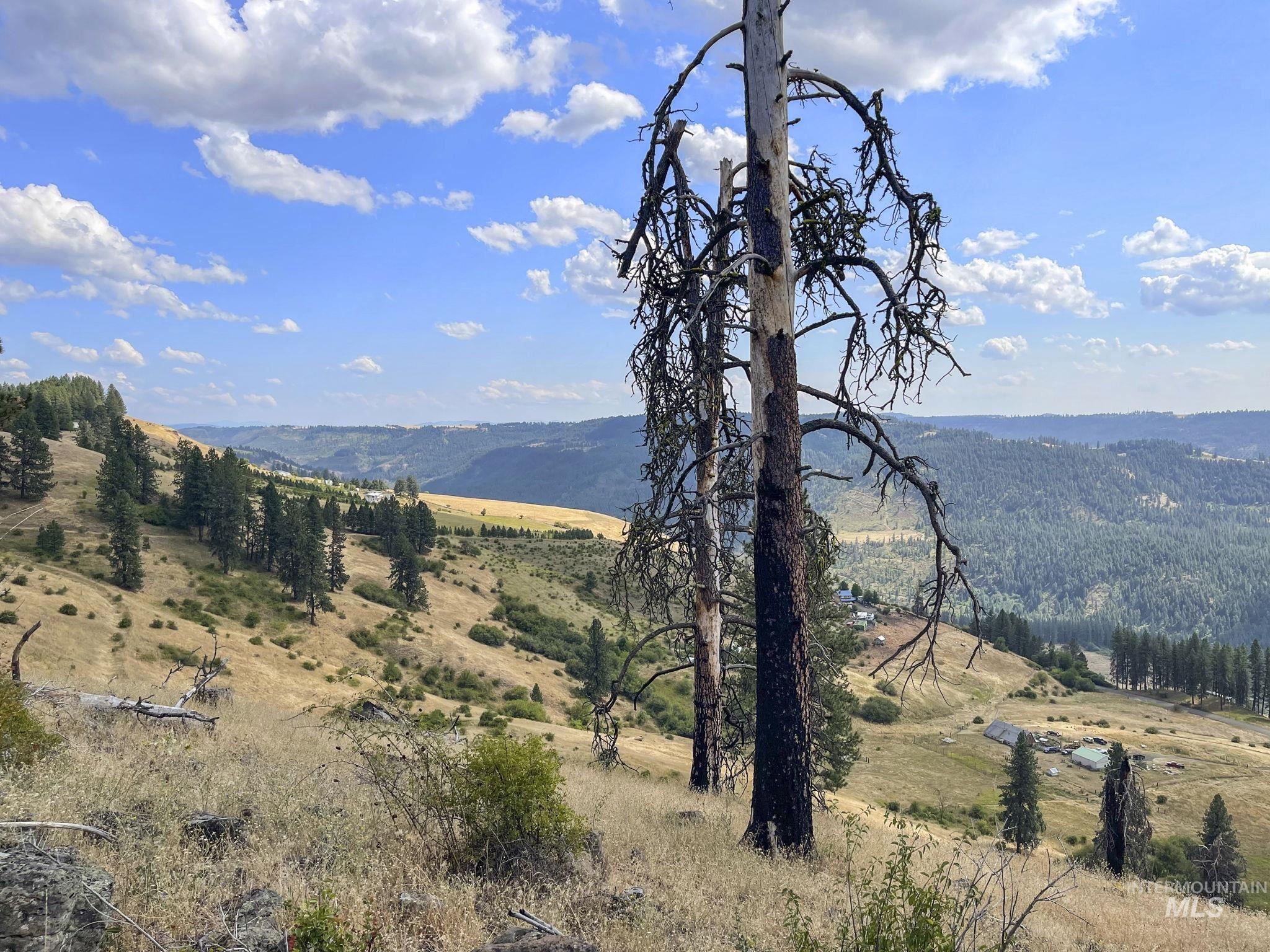 TBD Mountain Top Drive, Orofino, Idaho 83544, Land For Sale, Price $625,000, 98959639