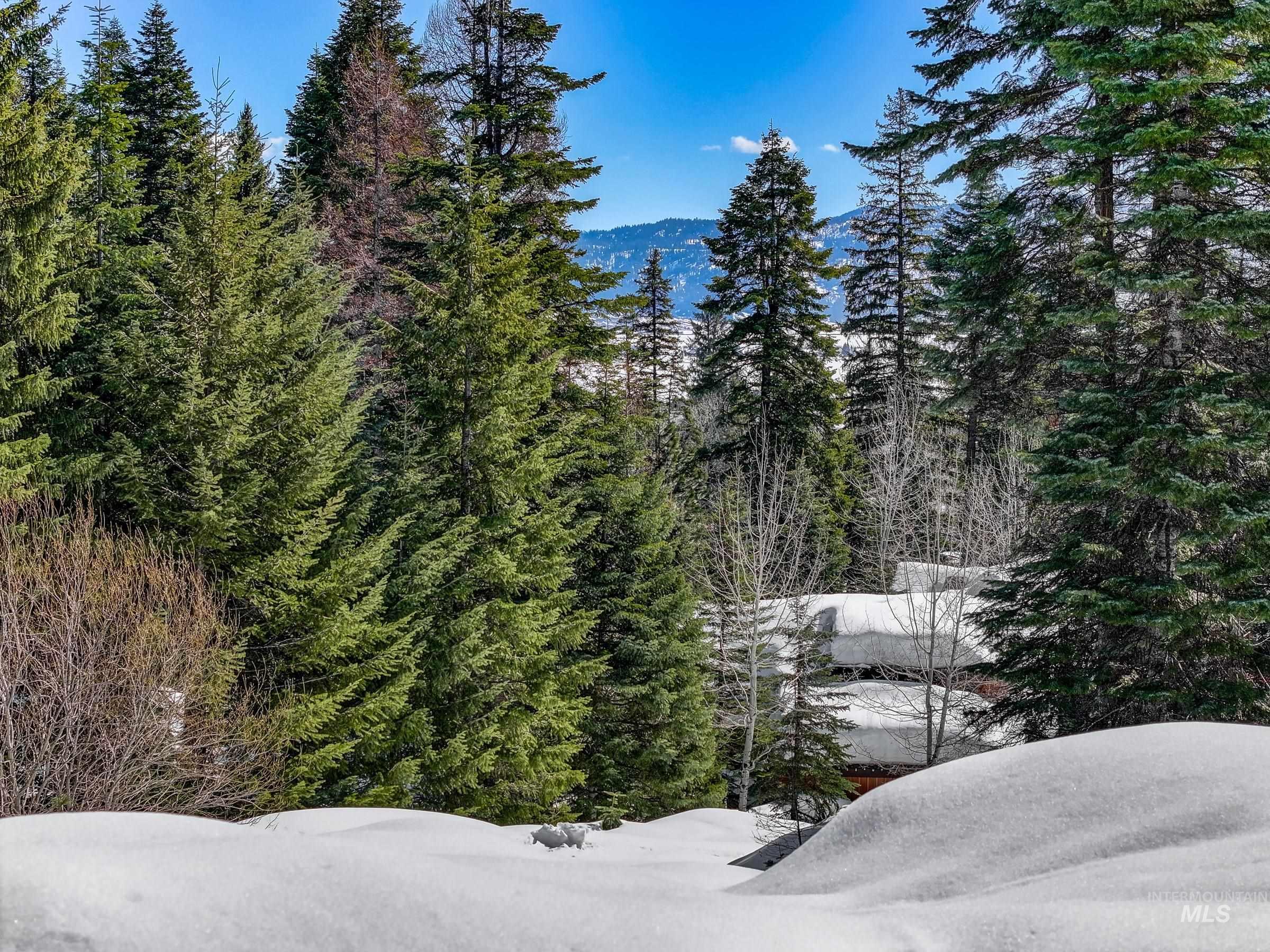 View of mountain background with a forest