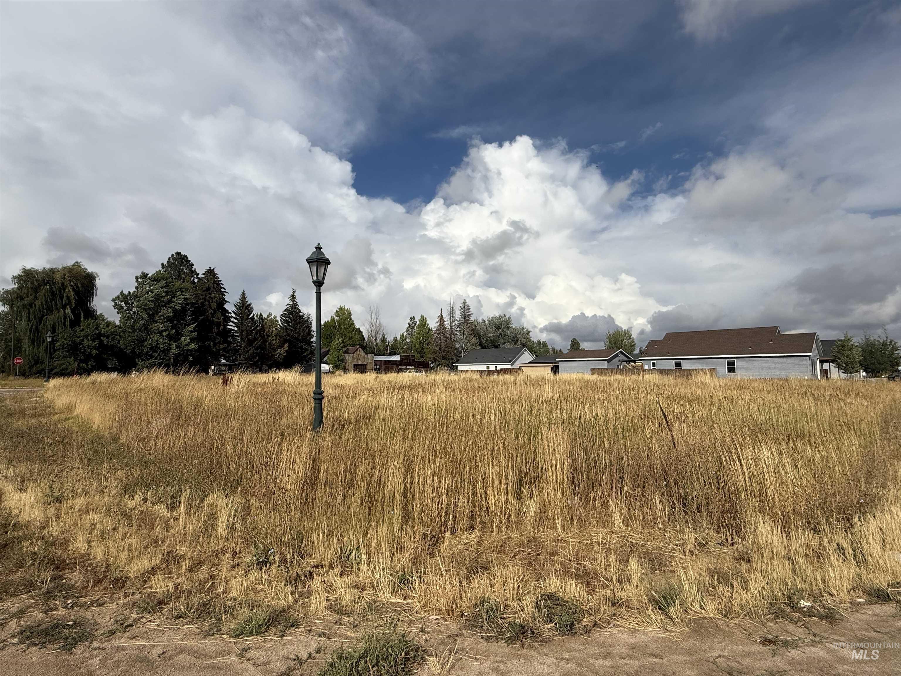 View of yard with a rural view