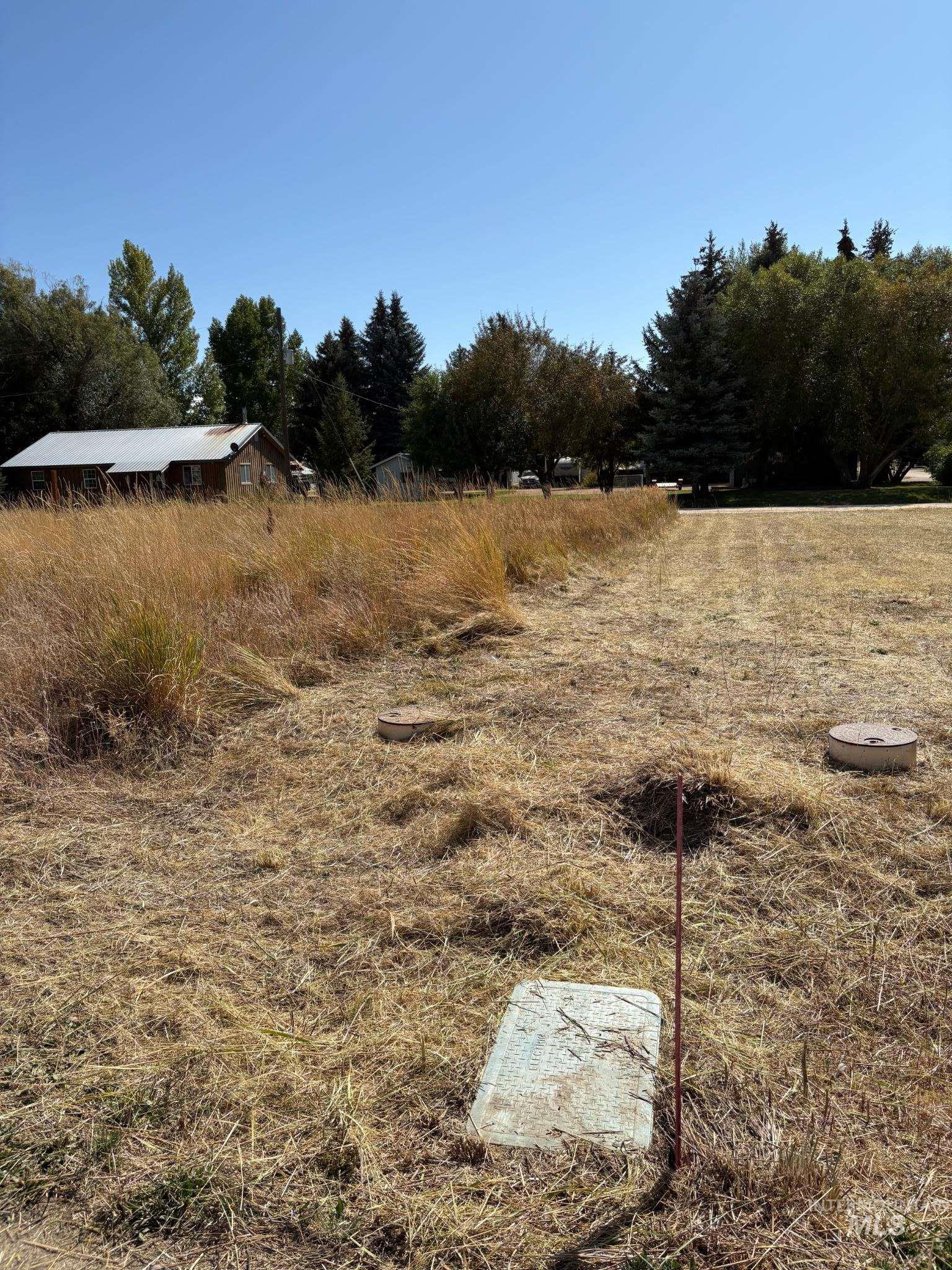 View of yard with a view of rural / pastoral area
