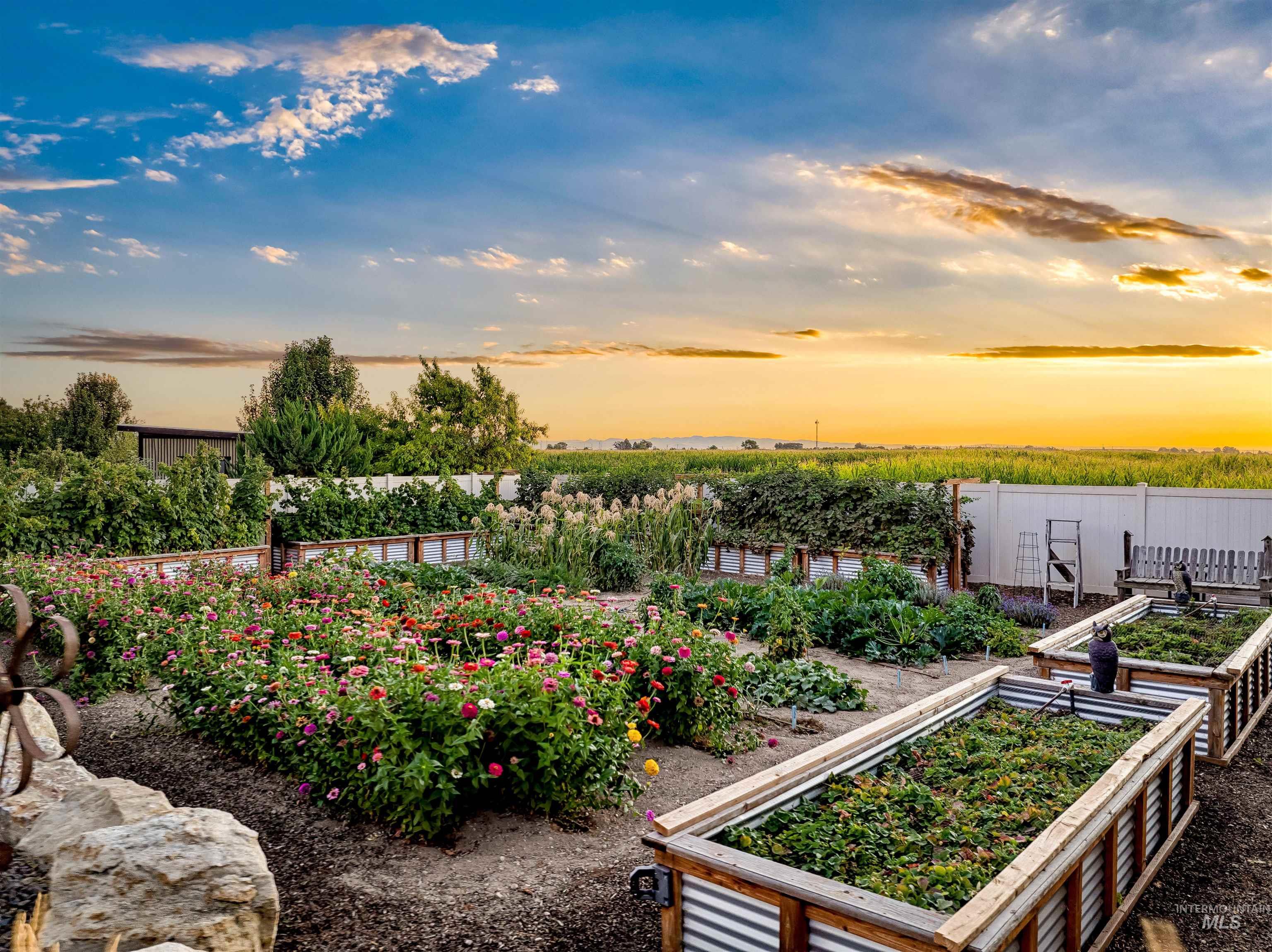 Yard at dusk with a garden