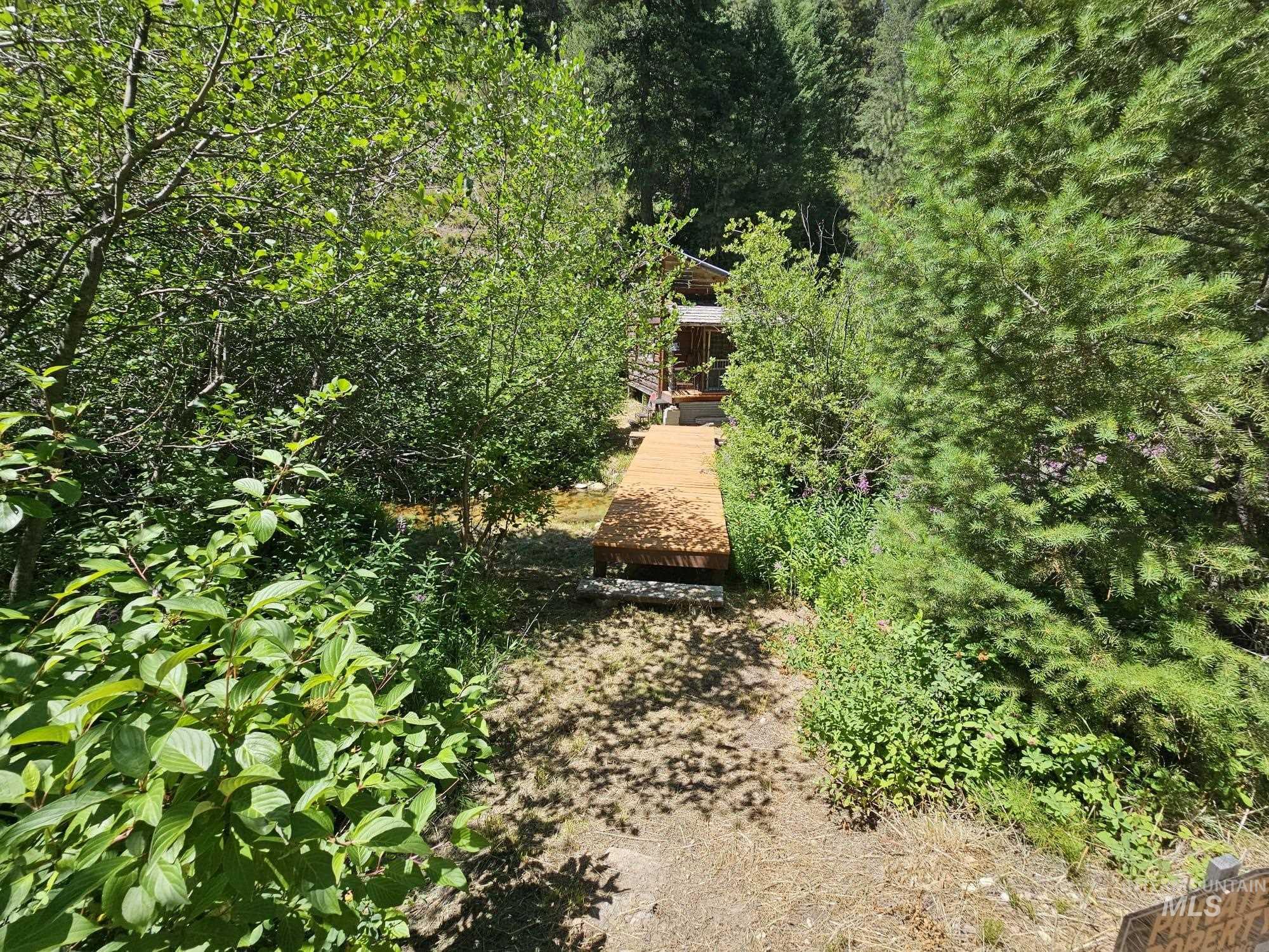 View of nature