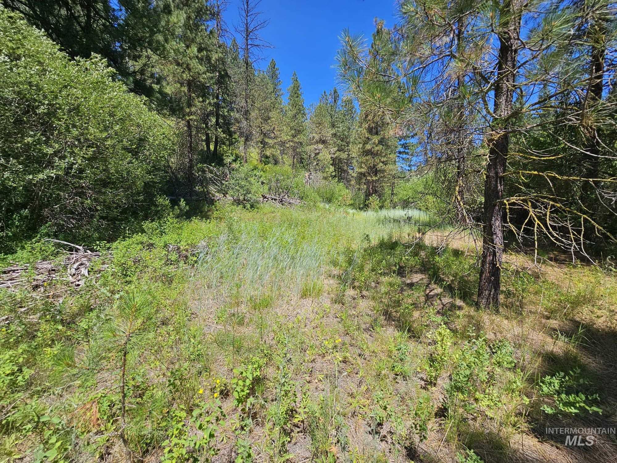 View of woods