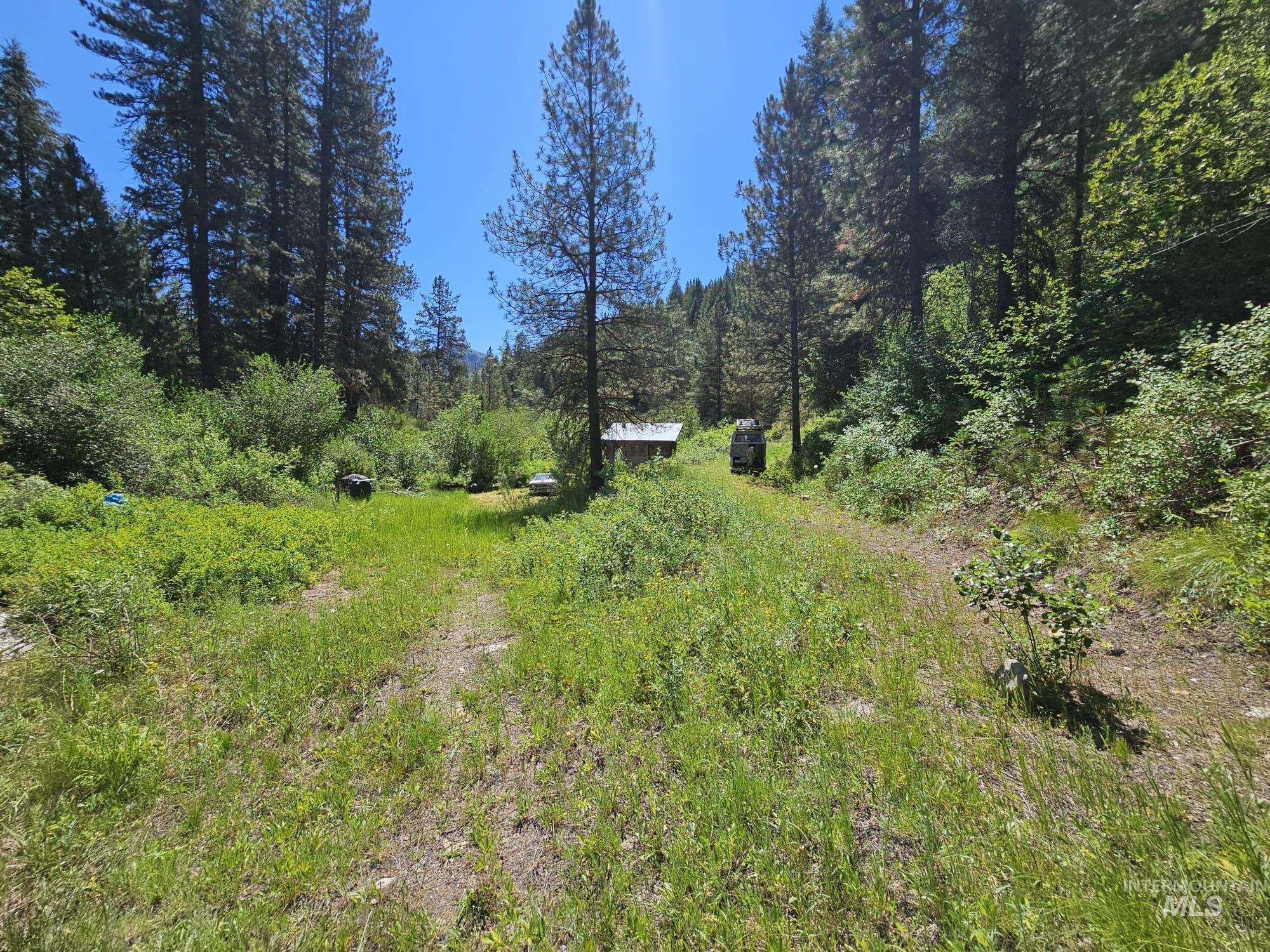 View of woods