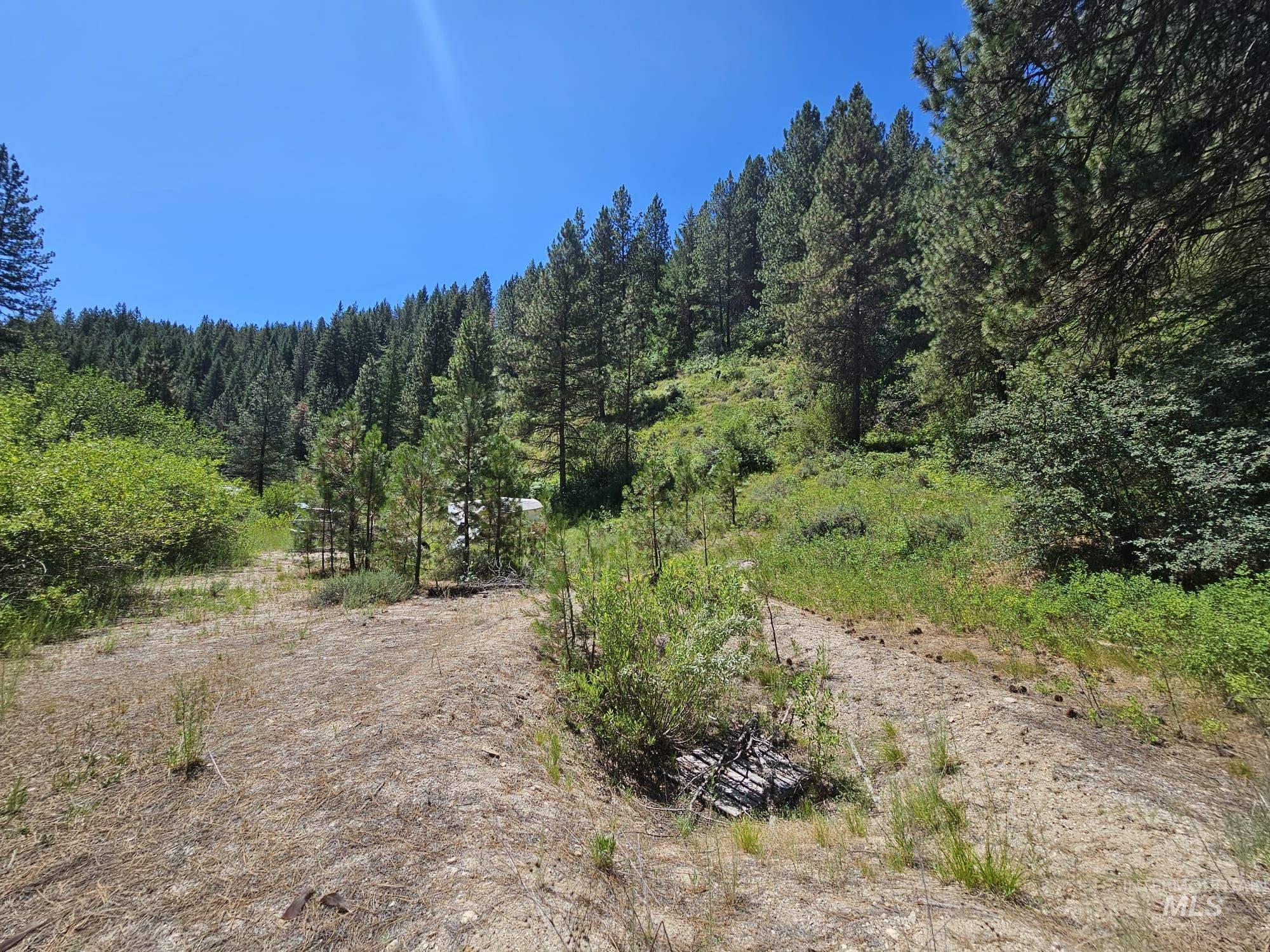 View of woods