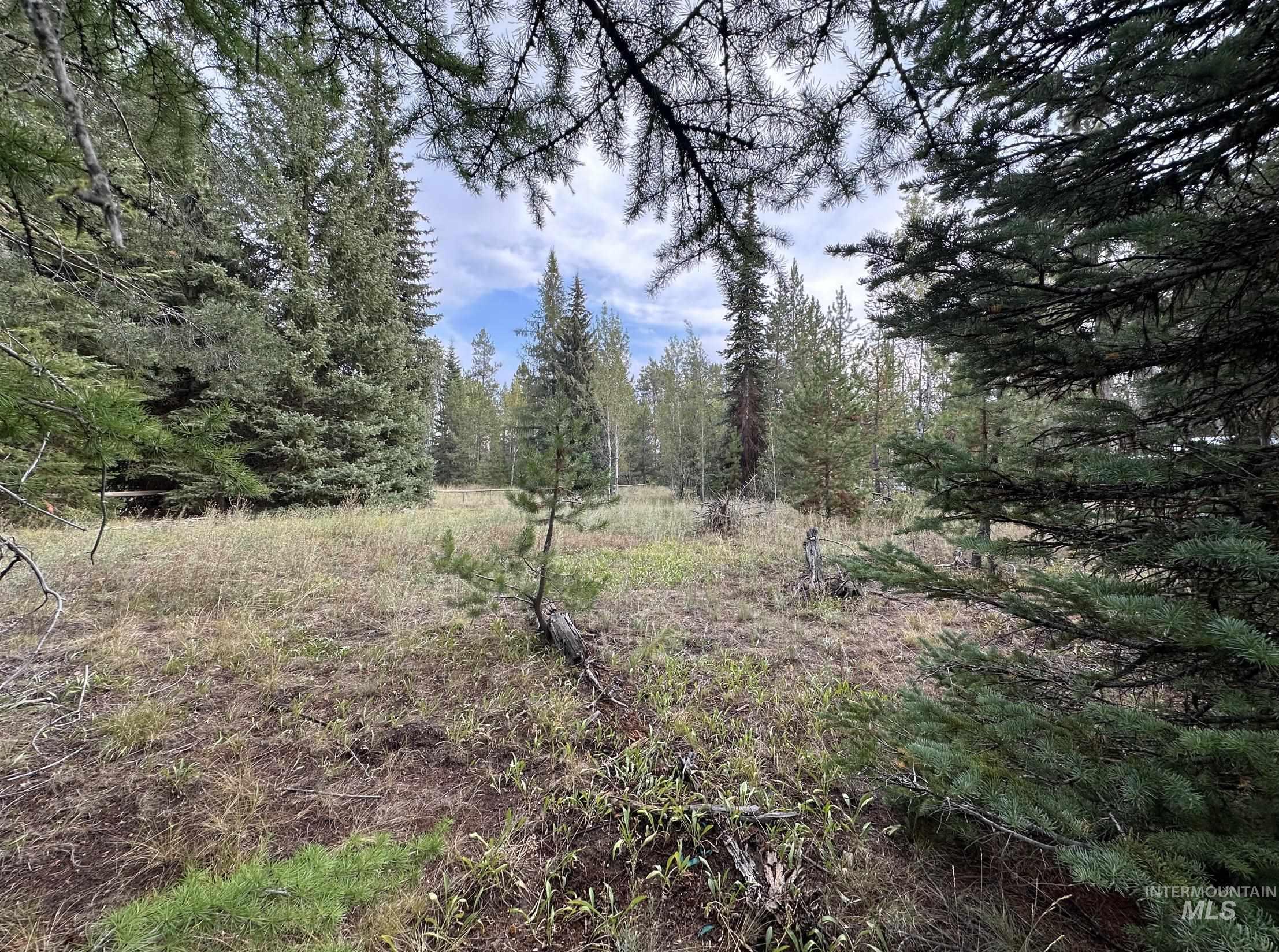View of wooded area