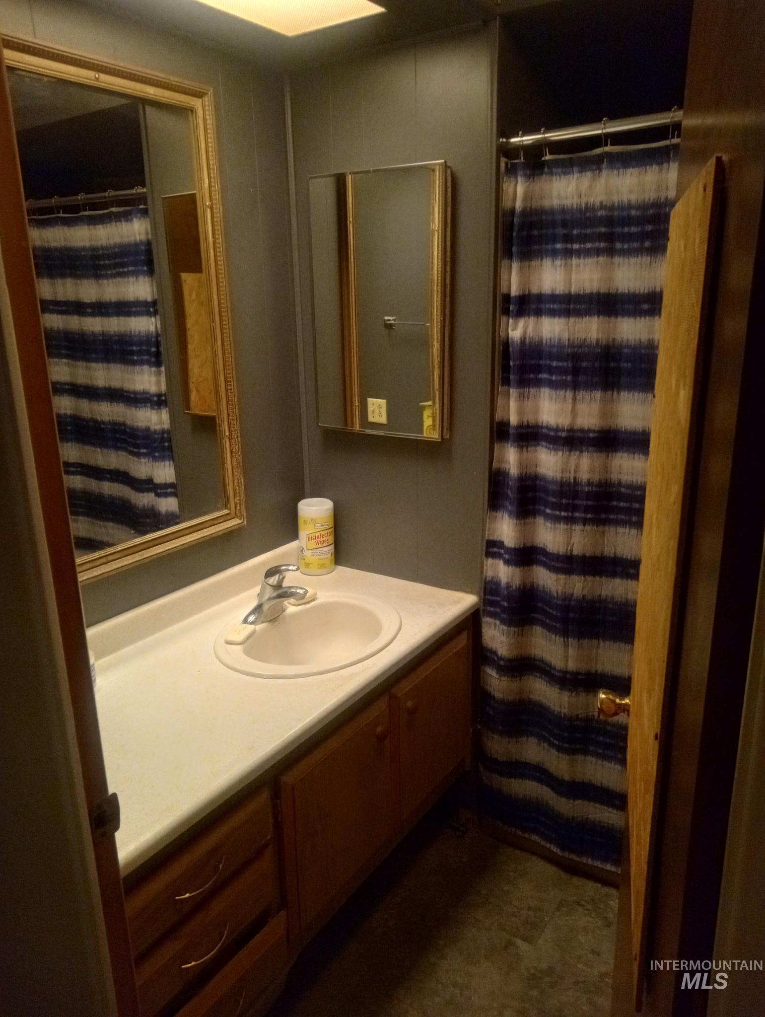 Full bath featuring vanity and a shower with shower curtain