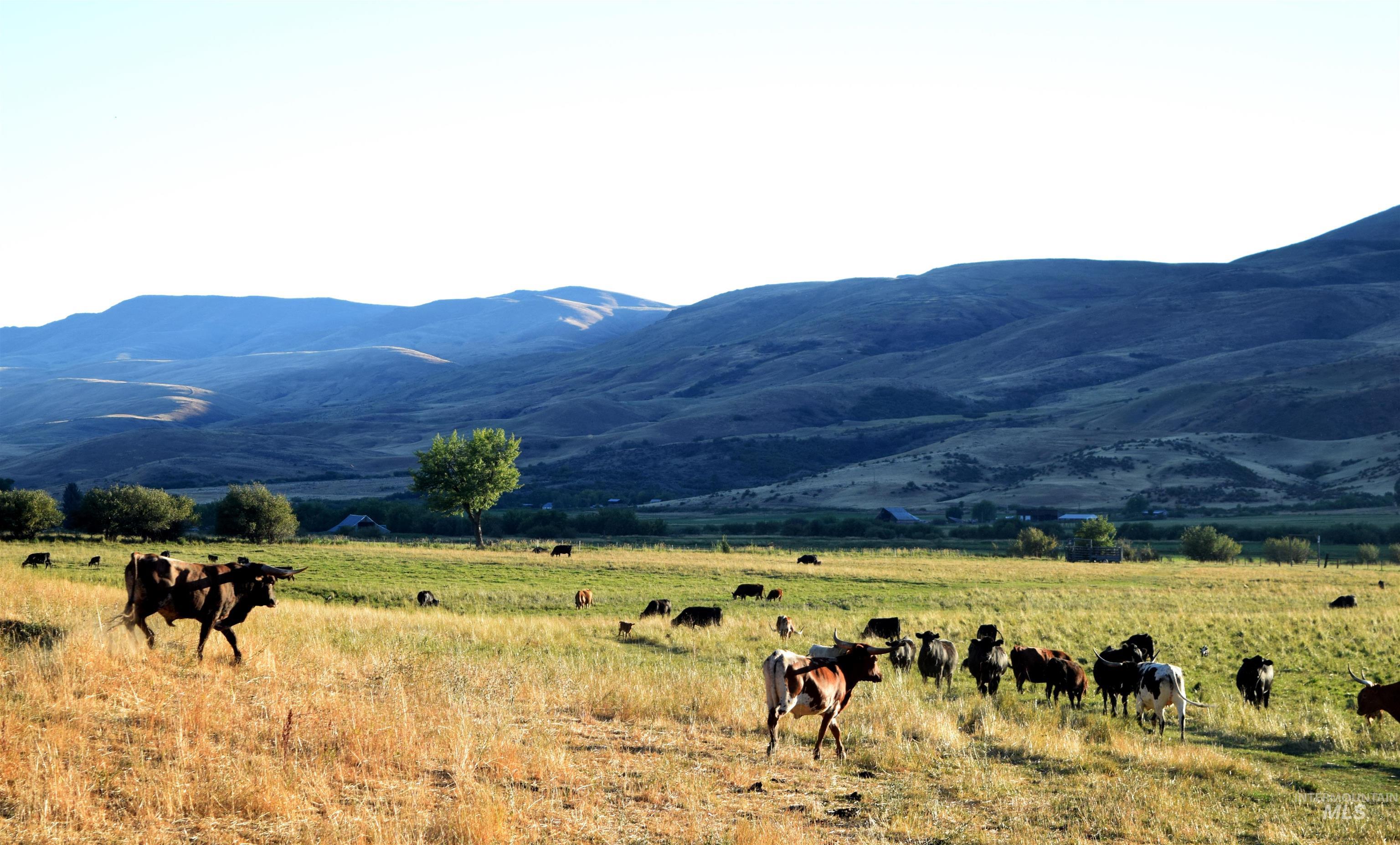 View of mountain backdrop with agricultural land and rural landscape