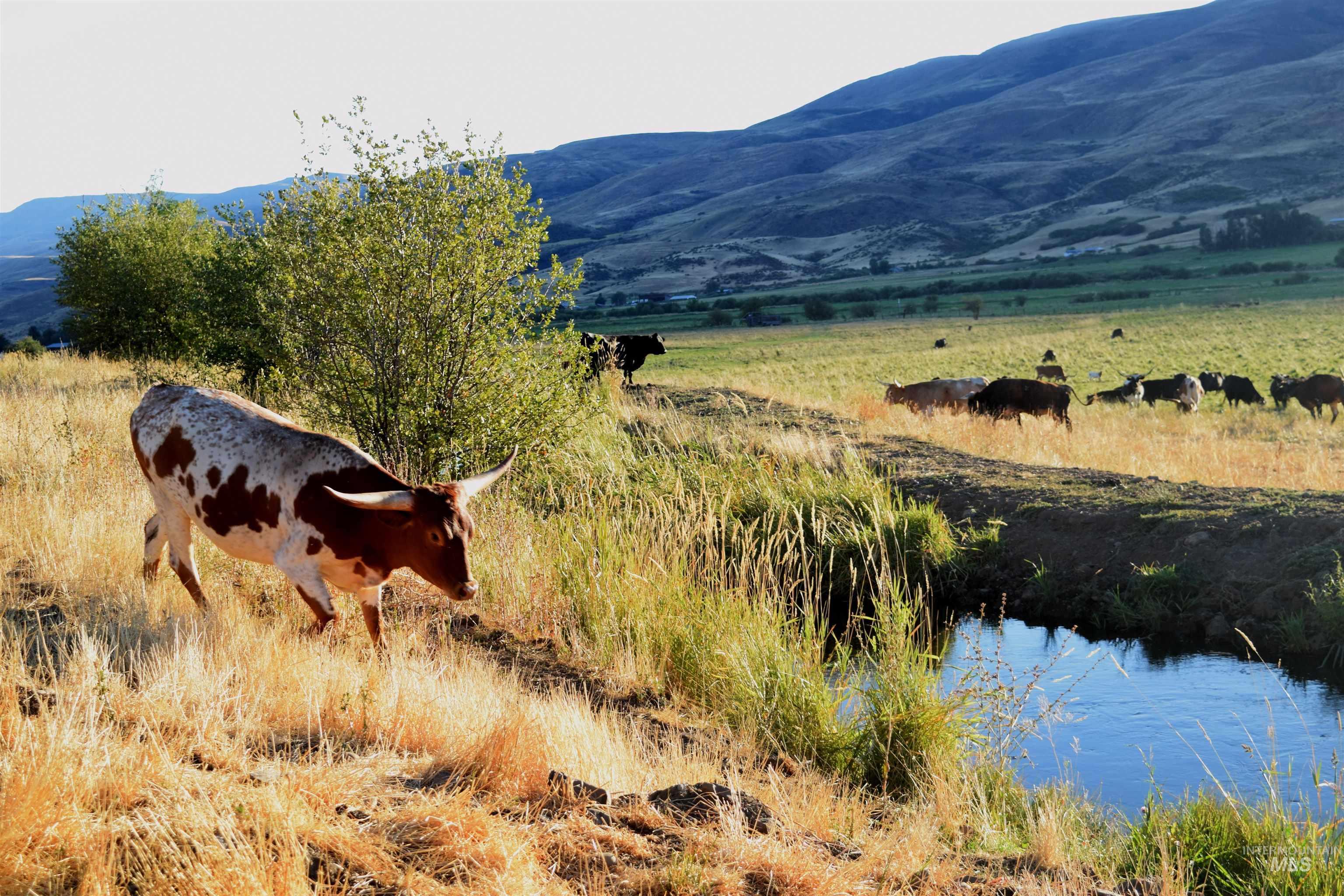 View of mountain background with rural landscape