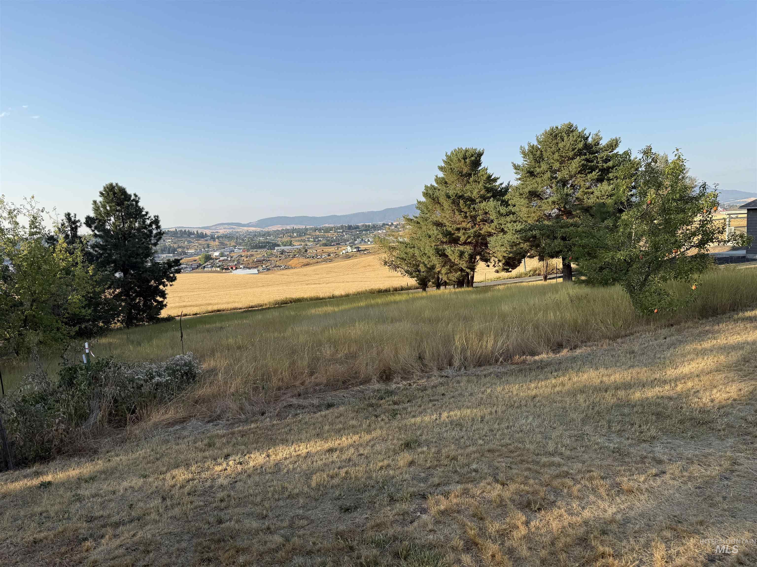 View of yard with a view of rural / pastoral area and a mountain view