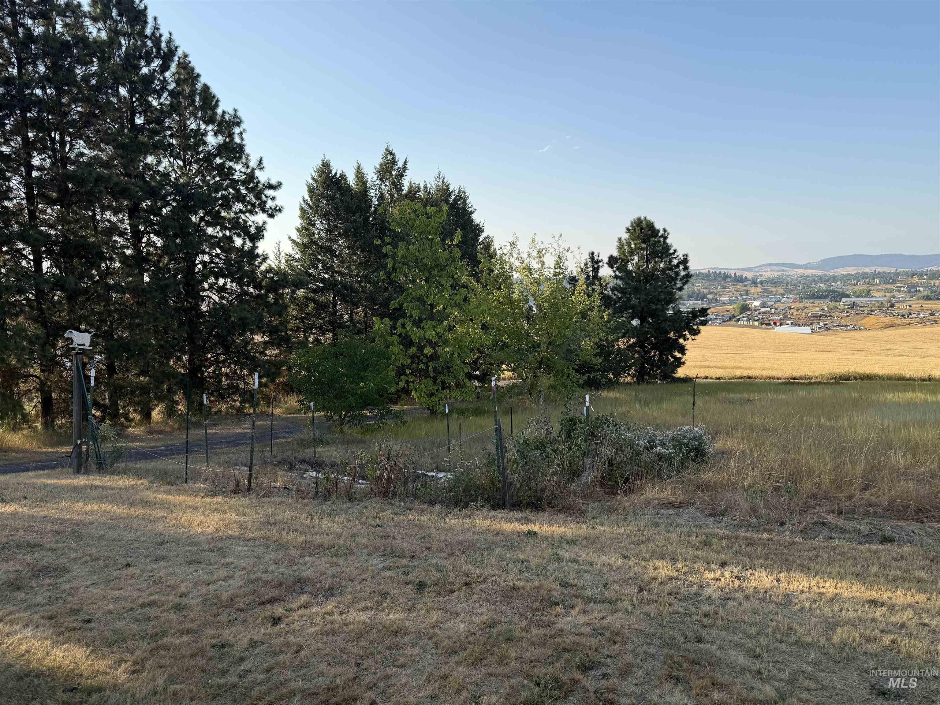 View of yard with a rural view and a mountain view