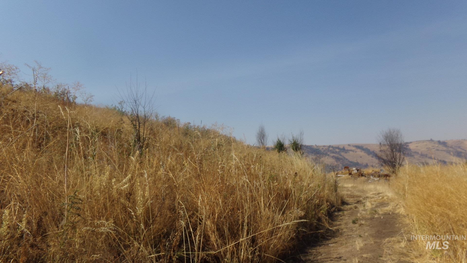 View of undeveloped land with rural landscape
