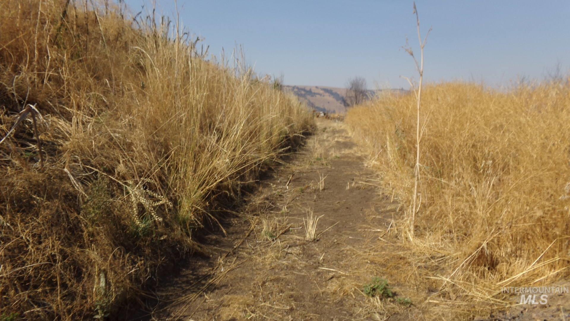 View of undeveloped land with rural landscape