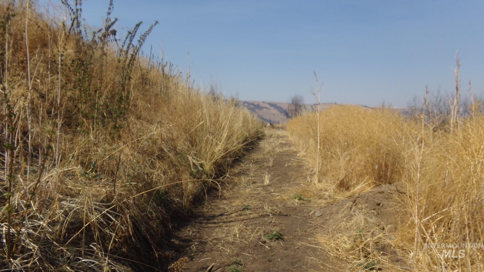 View of local wilderness