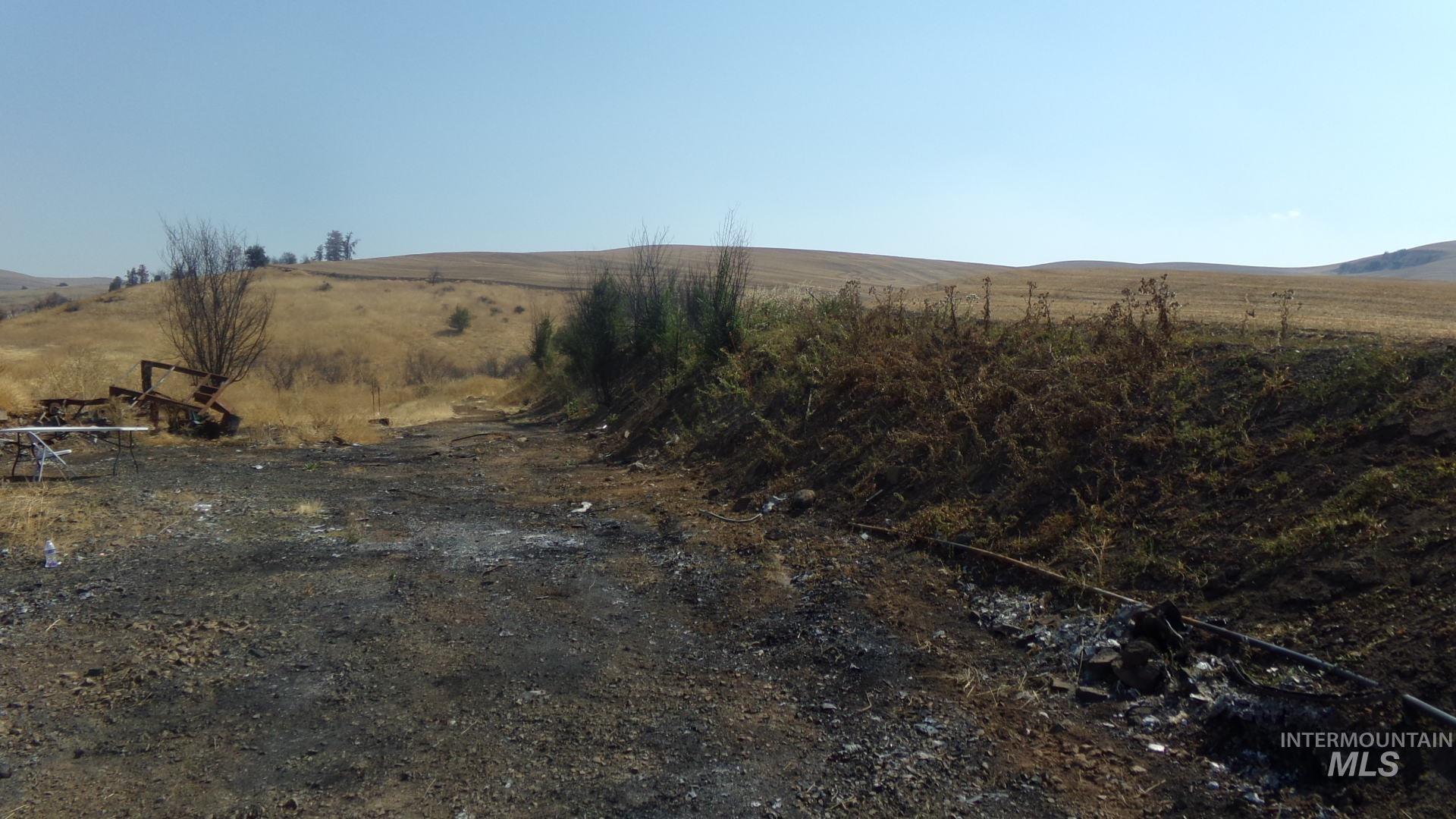 View of yard with a rural view