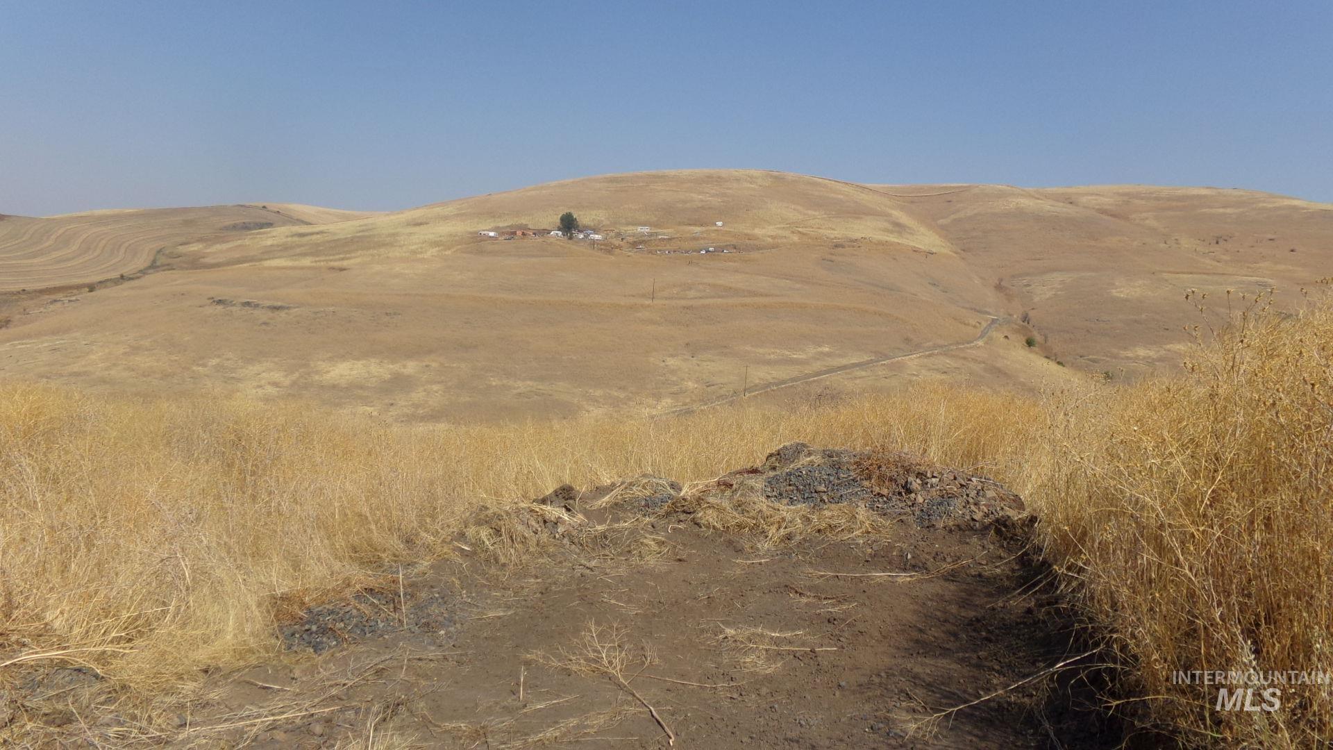 View of mountain background