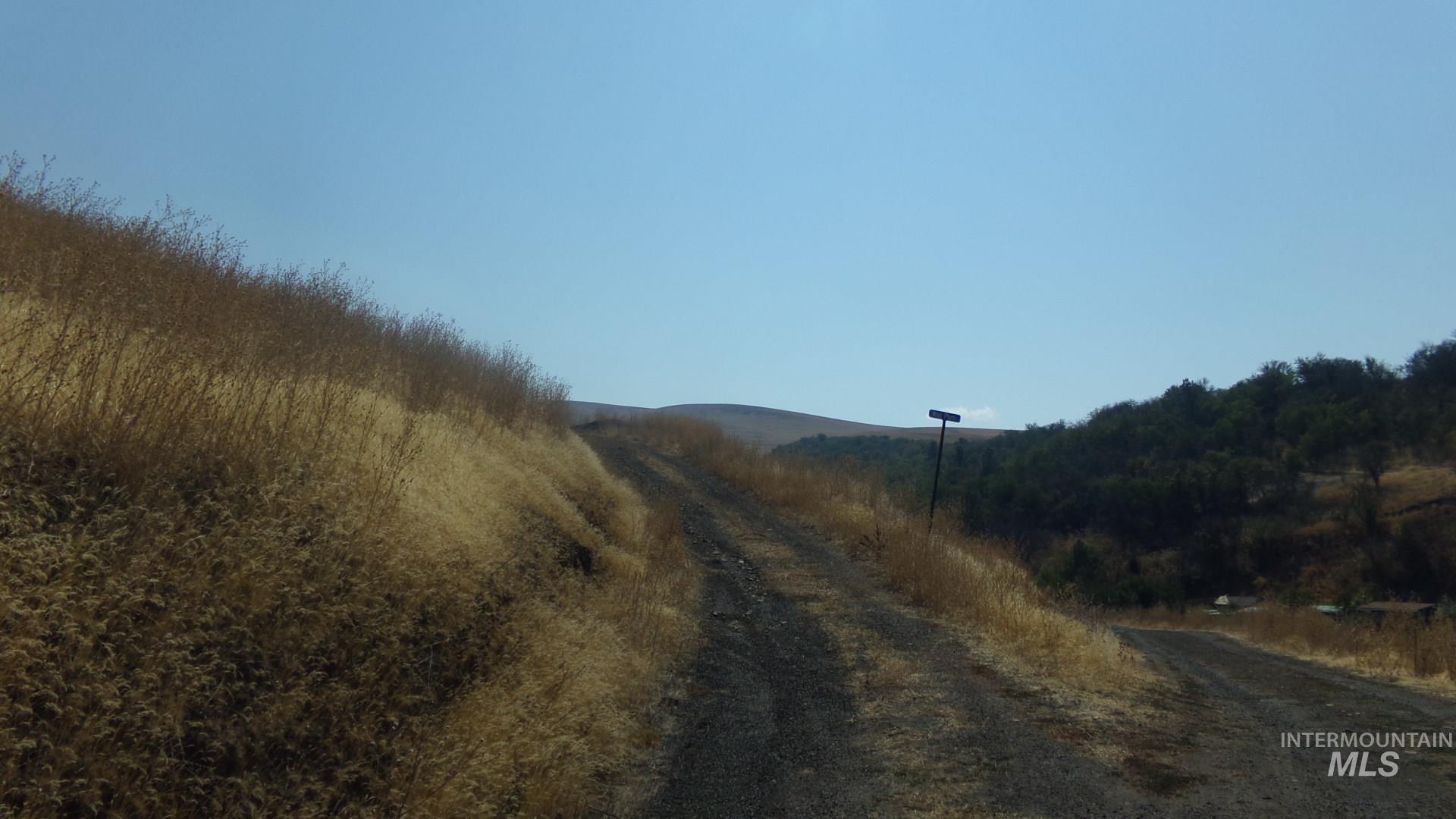 View of dirt / gravel road with a rural view